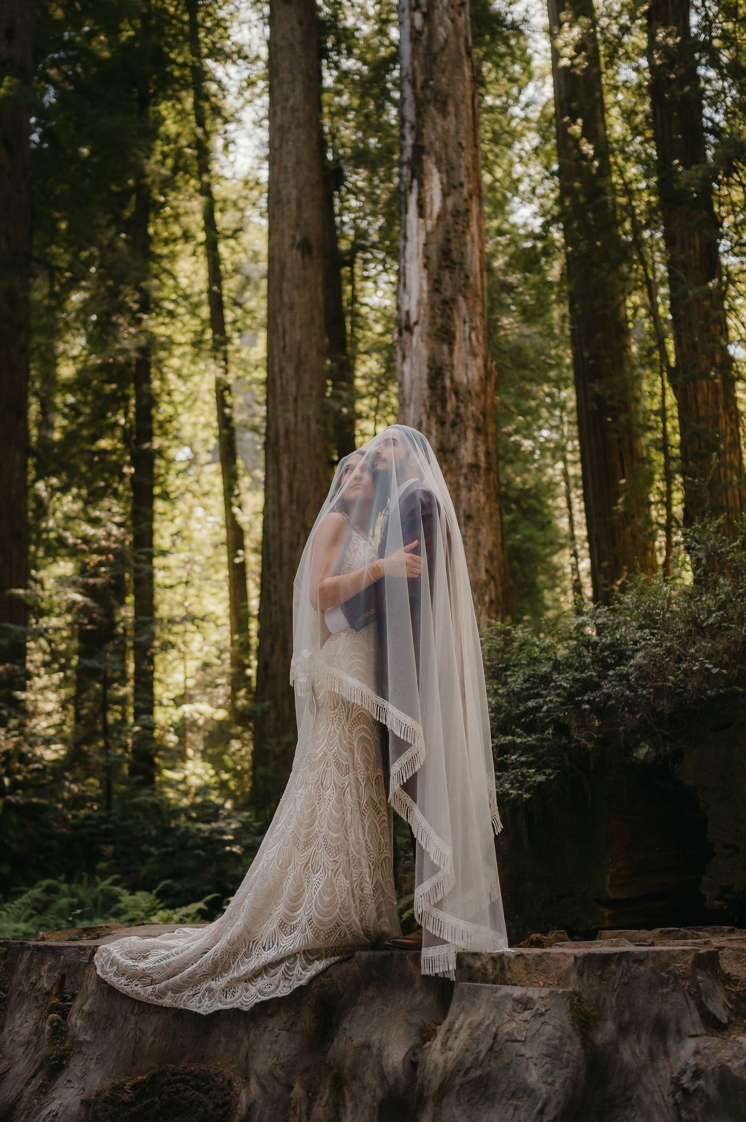 A bride in a lace wedding dress and flowing veil stands on a tree stump in a sunlit redwood forest.