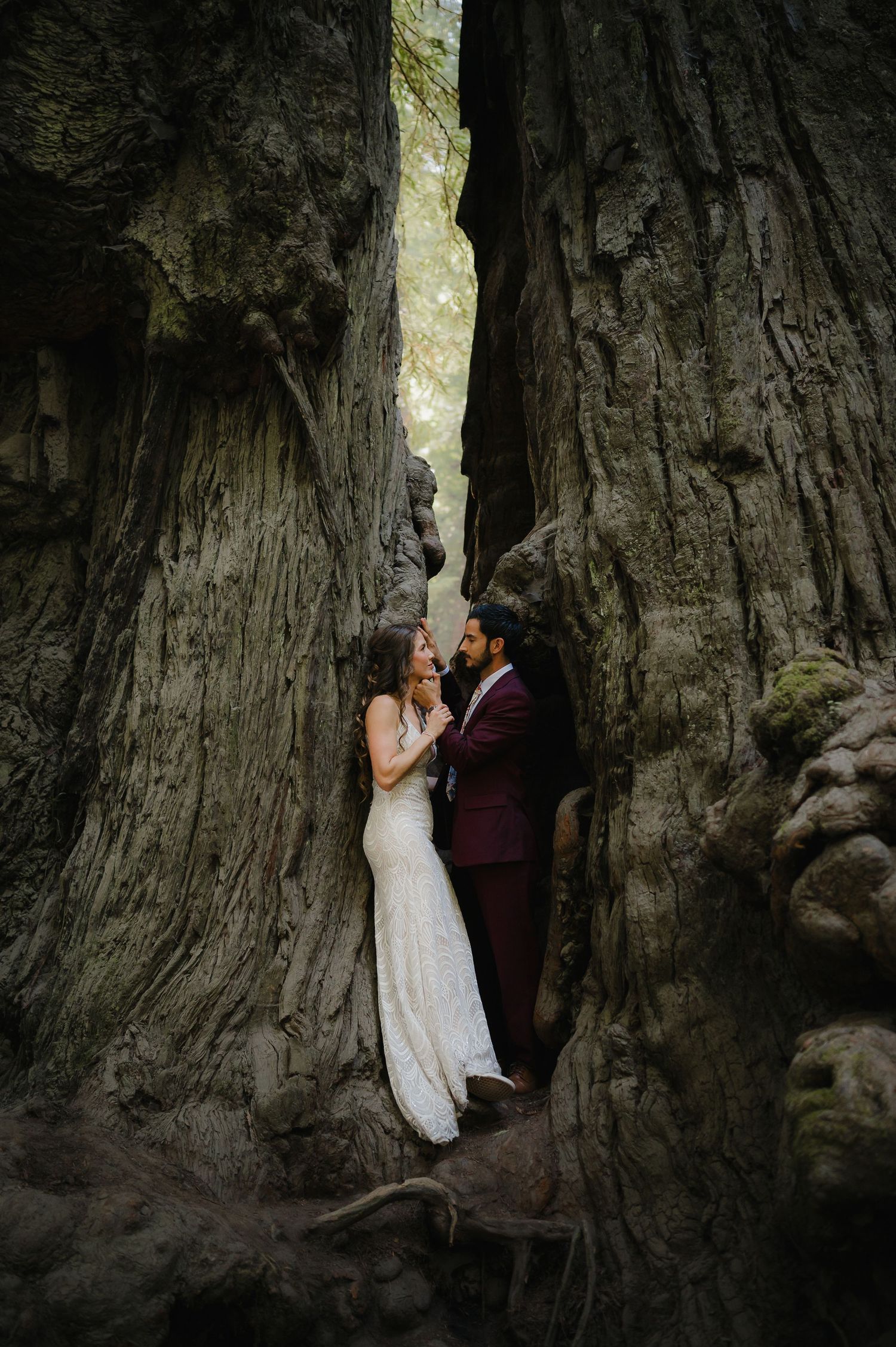 A romantic wedding photo shoot inside a massive hollowed redwood tree trunk creating a natural frame.