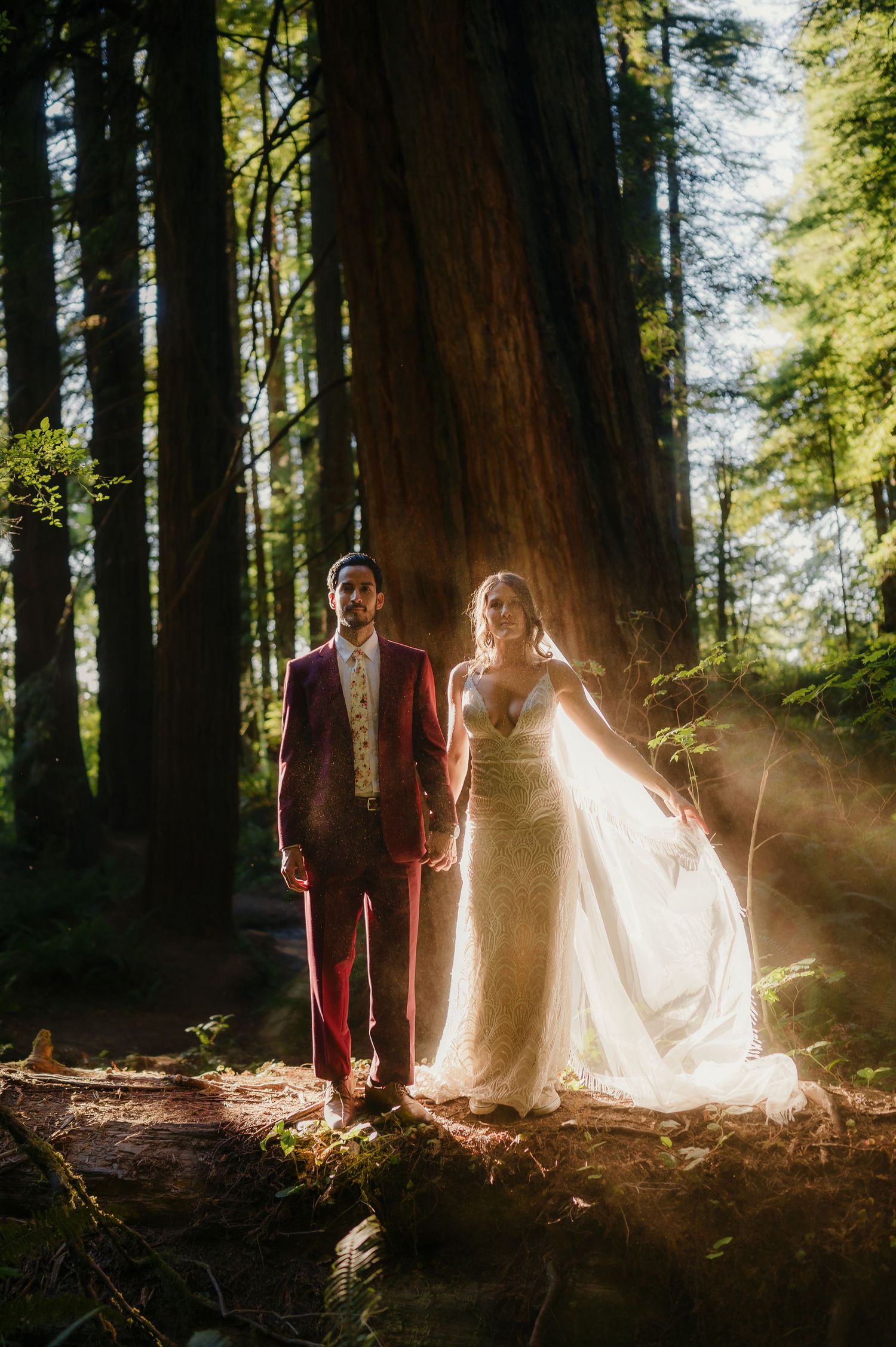 A romantic wedding couple stands amid towering redwood trees as golden sunlight streams through the forest canopy.