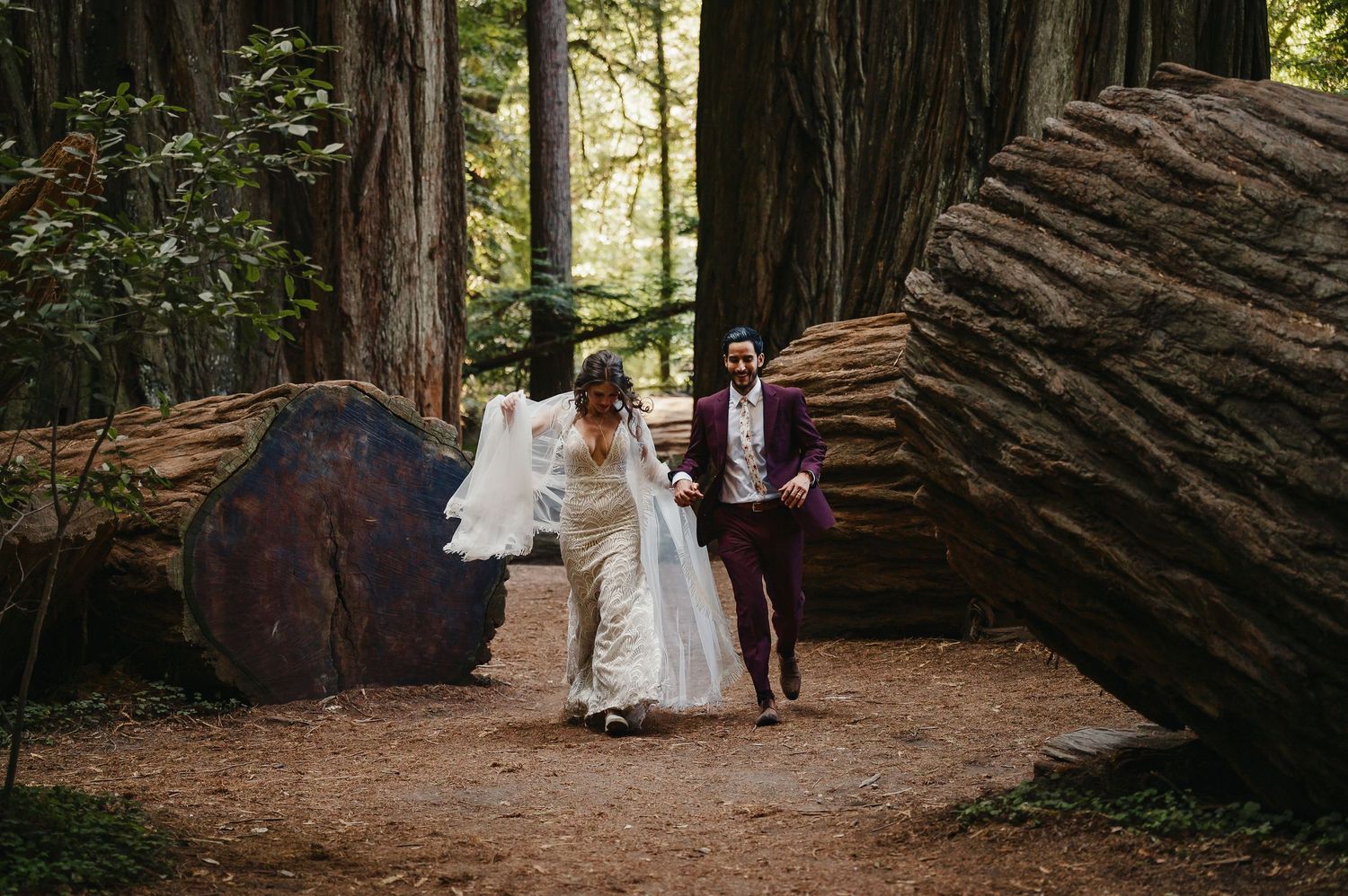 Wedding celebration among towering redwood trees with sunlight filtering through the forest canopy.
