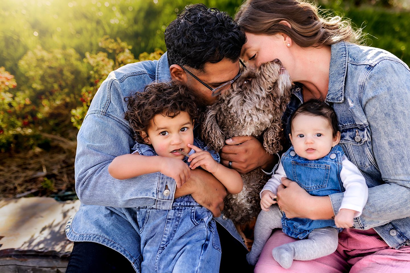 Cozy family wearing denim embraces together with their gray shaggy dog during an outdoor portrait session in golden light.