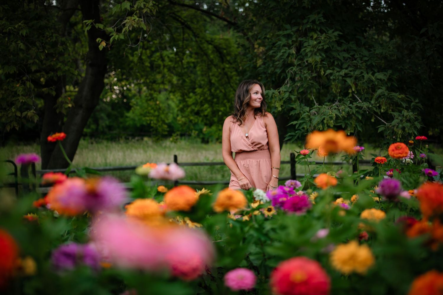 Colorful garden filled with vibrant poppies and wildflowers in full bloom.