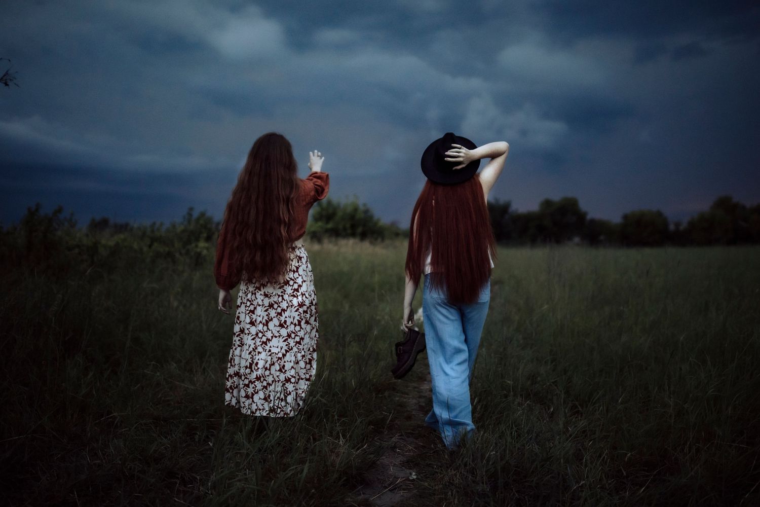 Two friends with flowing hair stand in a dusky field against dramatic evening clouds.