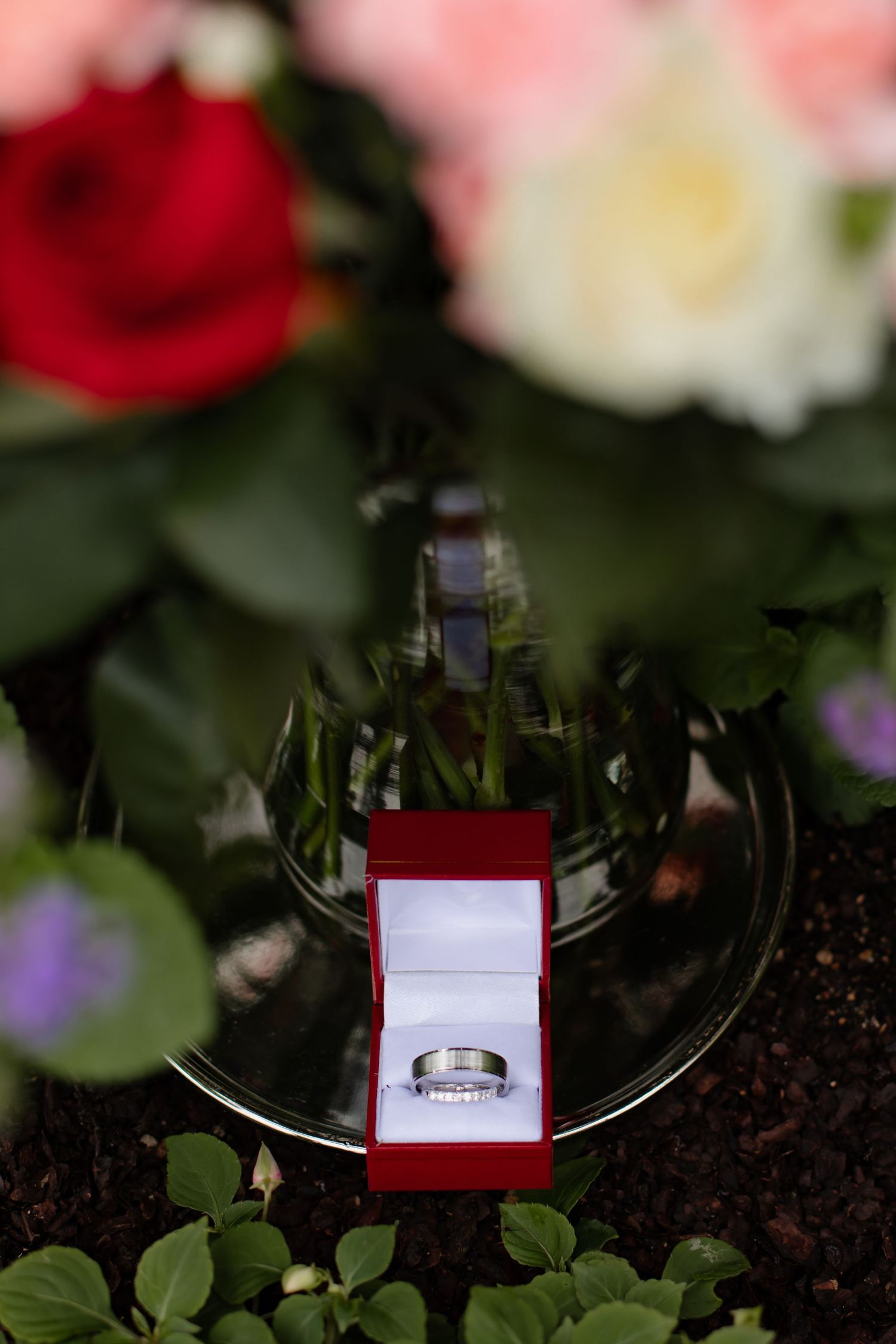 Wedding rings displayed in small red boxes among red and white roses and greenery.