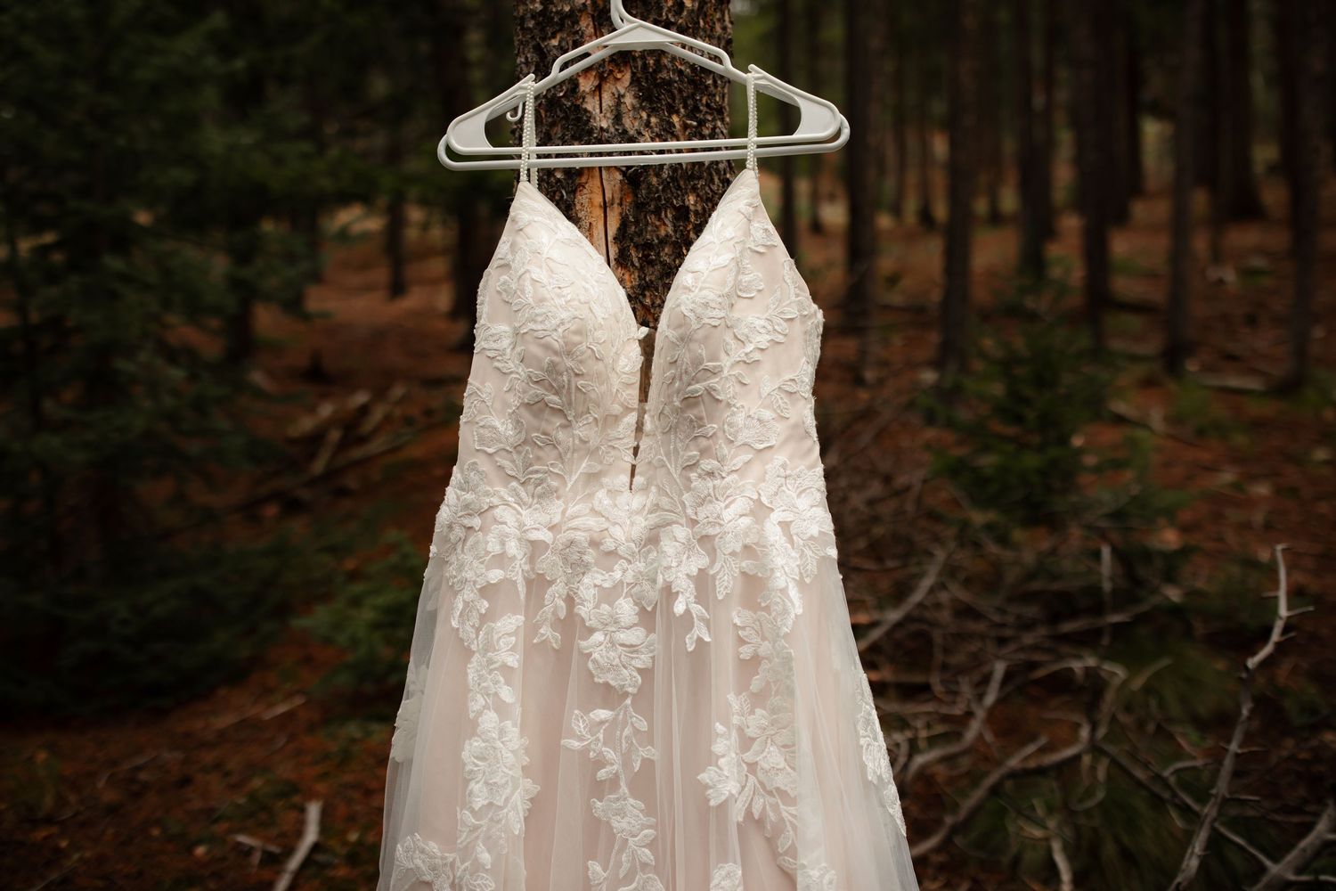 Willow & Wren Photography destination wedding in Colorado. Mountain wedding photography. Destination Wedding.