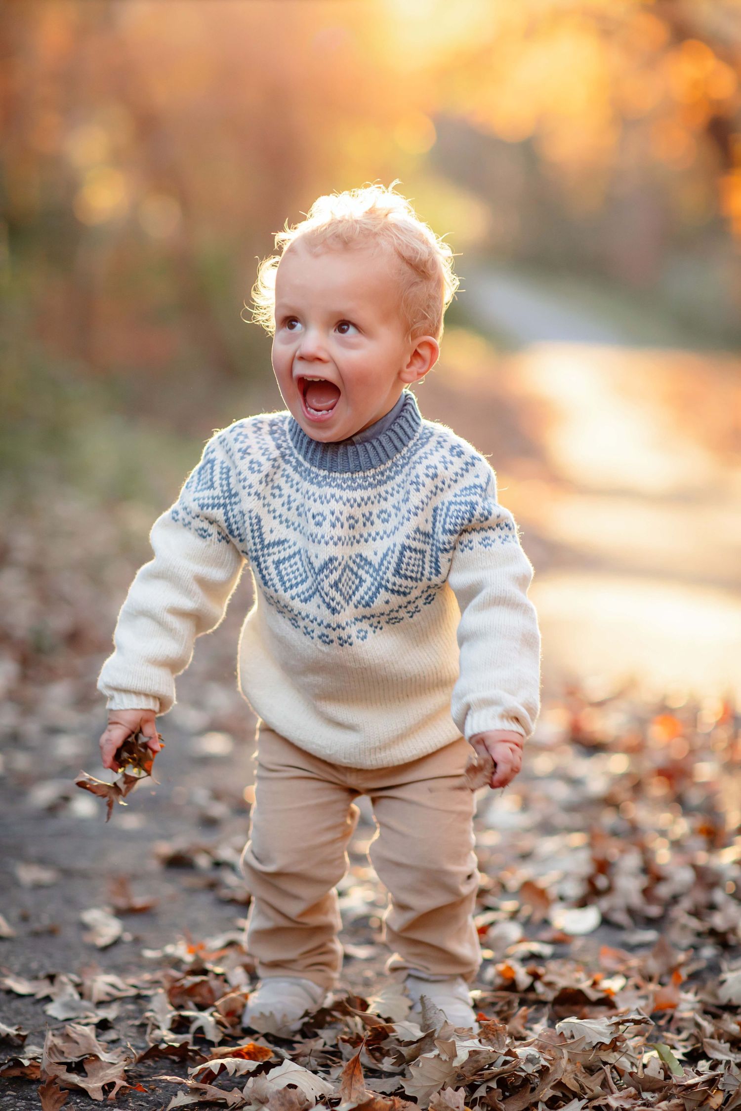 Fall Family Photography in Minnetonka, Minnesota by Willow & Wren Photography. Minnesota family photography. Nordic family in Minnesota.