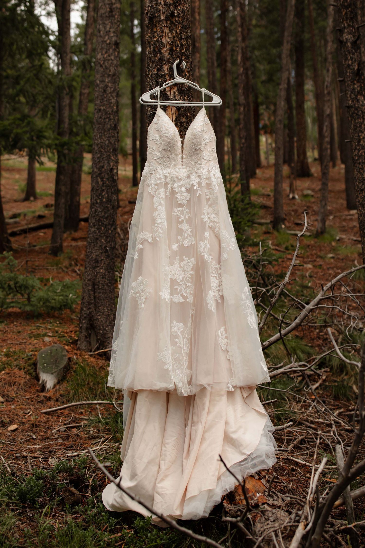 A delicate lace wedding dress hangs elegantly among pine trees in a forest setting, creating a romantic woodland scene.