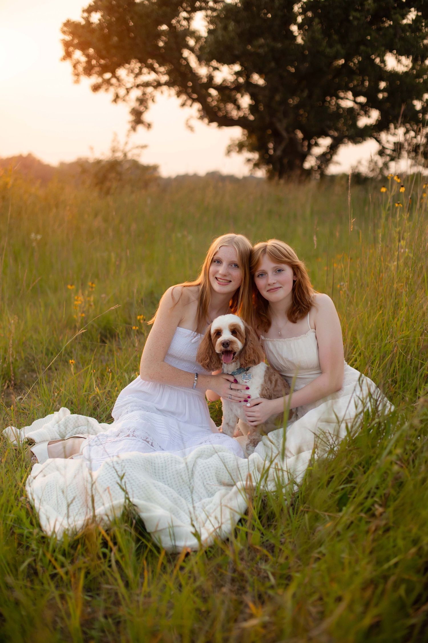 Two redhead girls in white dresses sitting in a sunny meadow at golden hour, holding a Cavalier King Charles Spaniel.