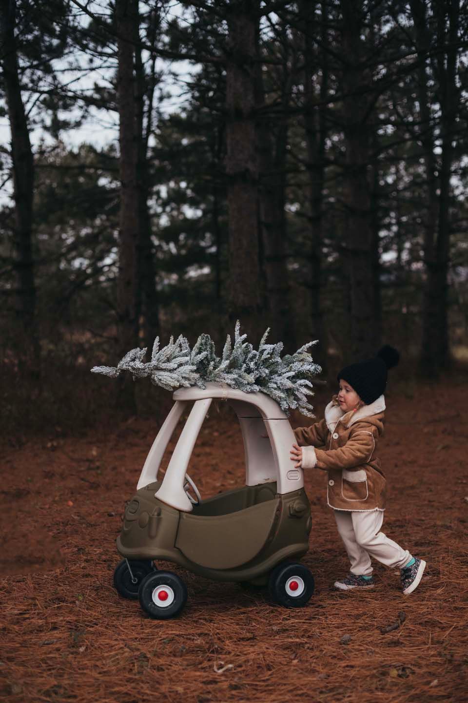 Small toy car carrying Christmas tree through pine forest.