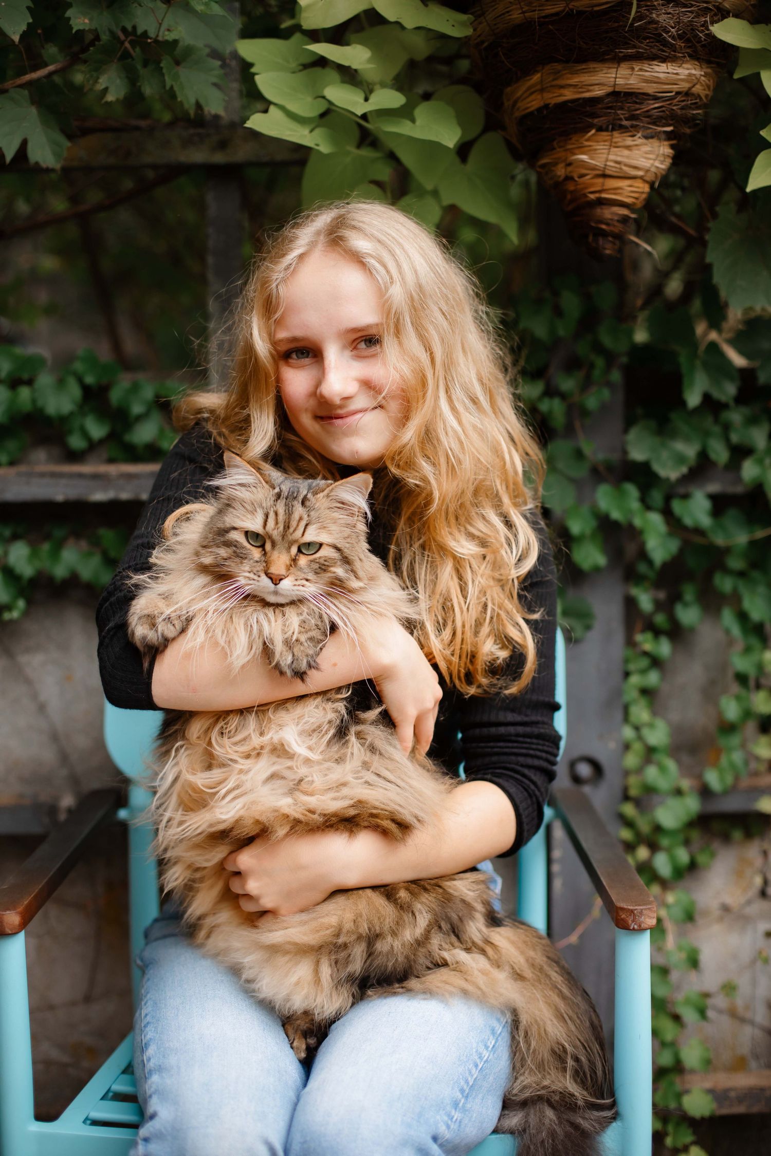A fluffy Maine Coon cat being held while sitting in a turquoise chair surrounded by green foliage.