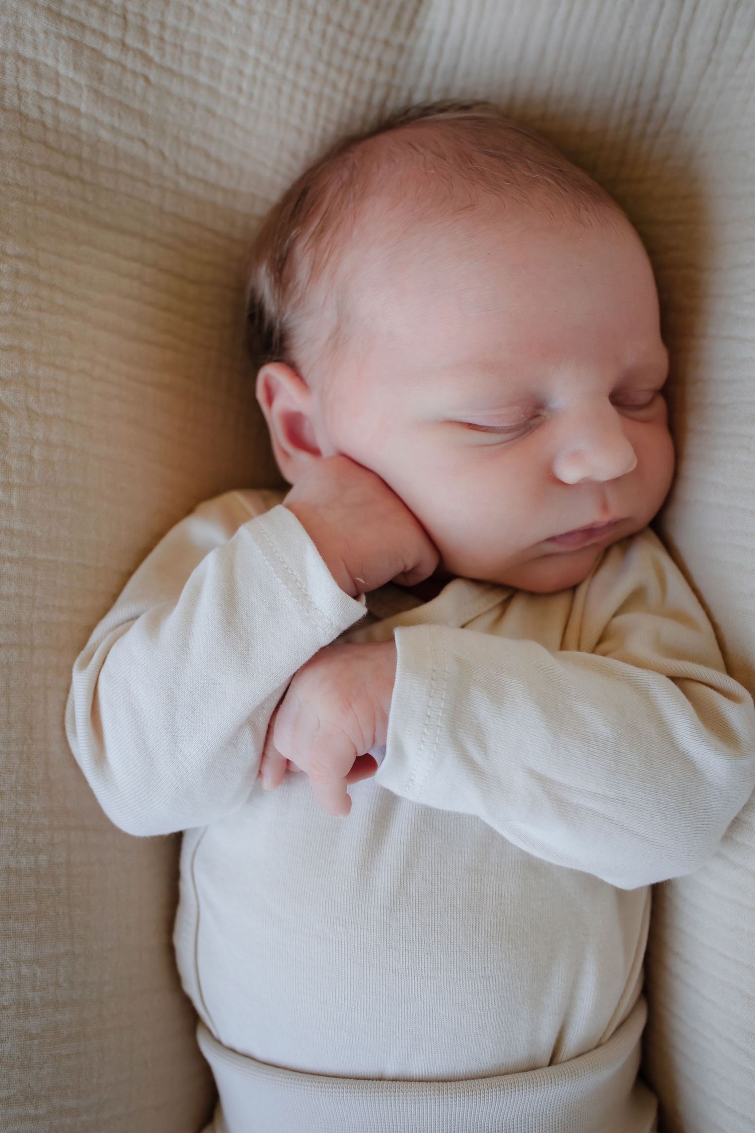 Carver, Minnesota in home newborn photography with Willow & Wren Photography.