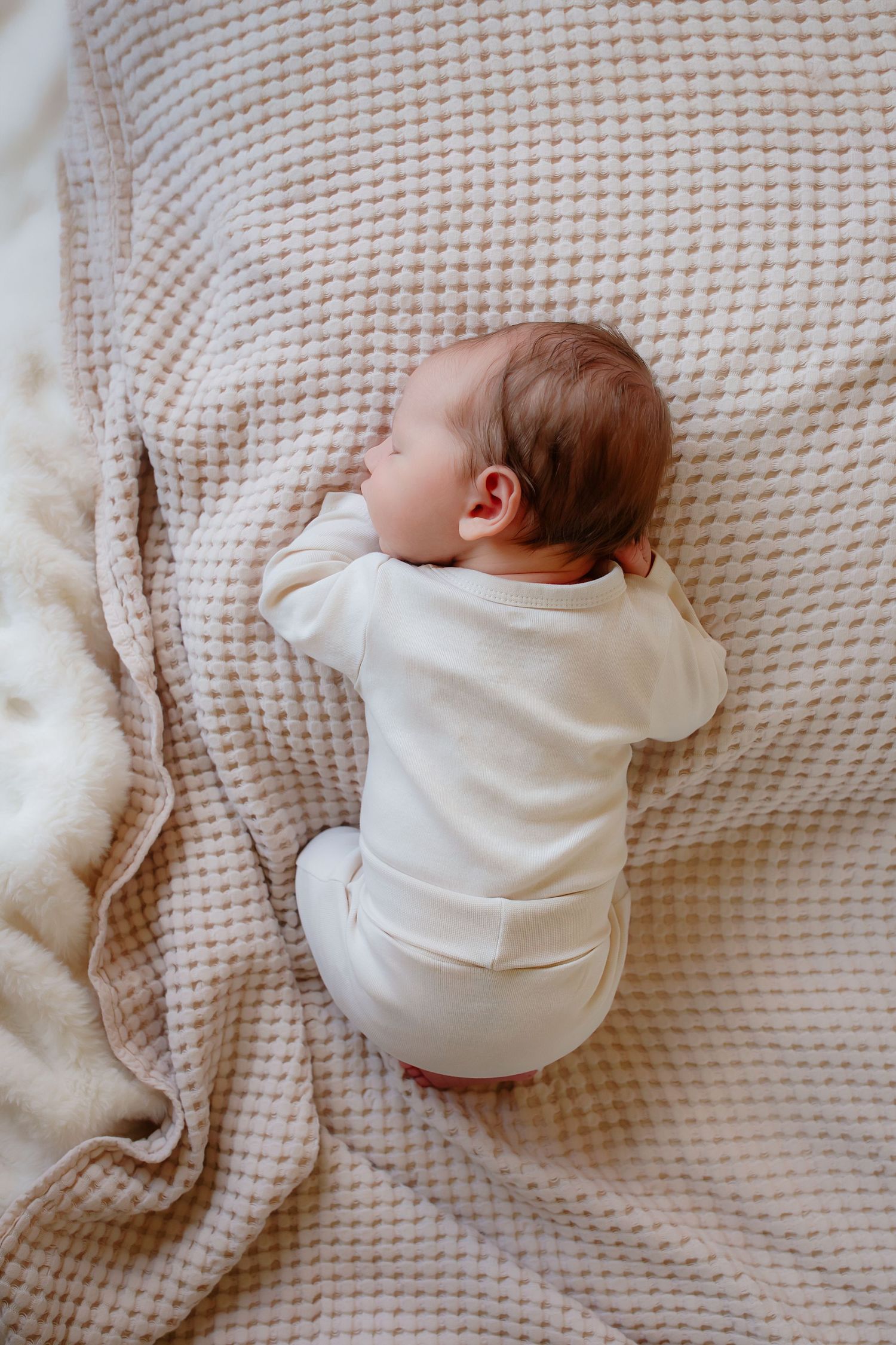 Carver, Minnesota in home family and newborn photography with Willow & Wren Photography.