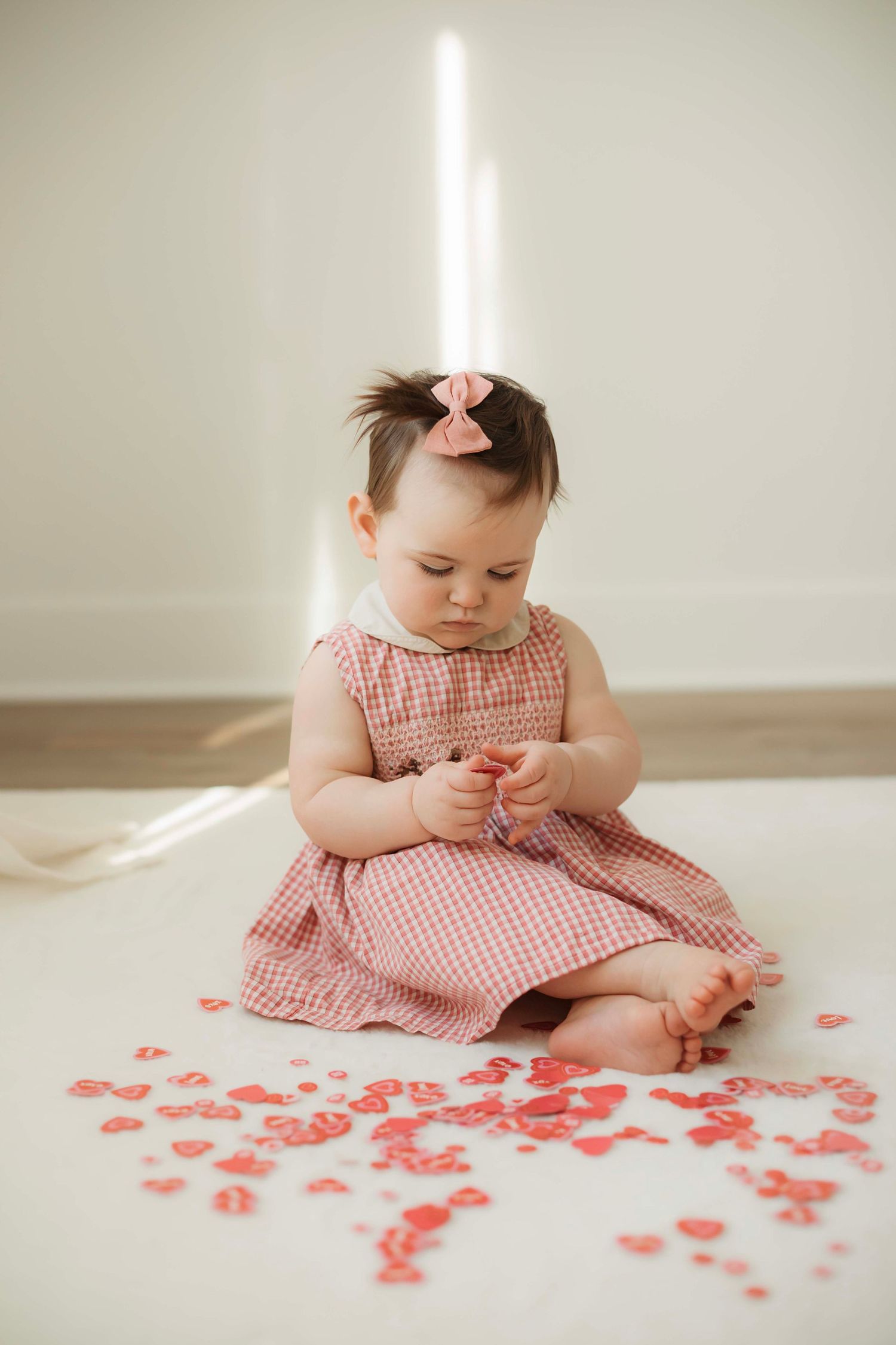 Willow & Wren Photography studio in Chaska Minnesota. Family portraits.