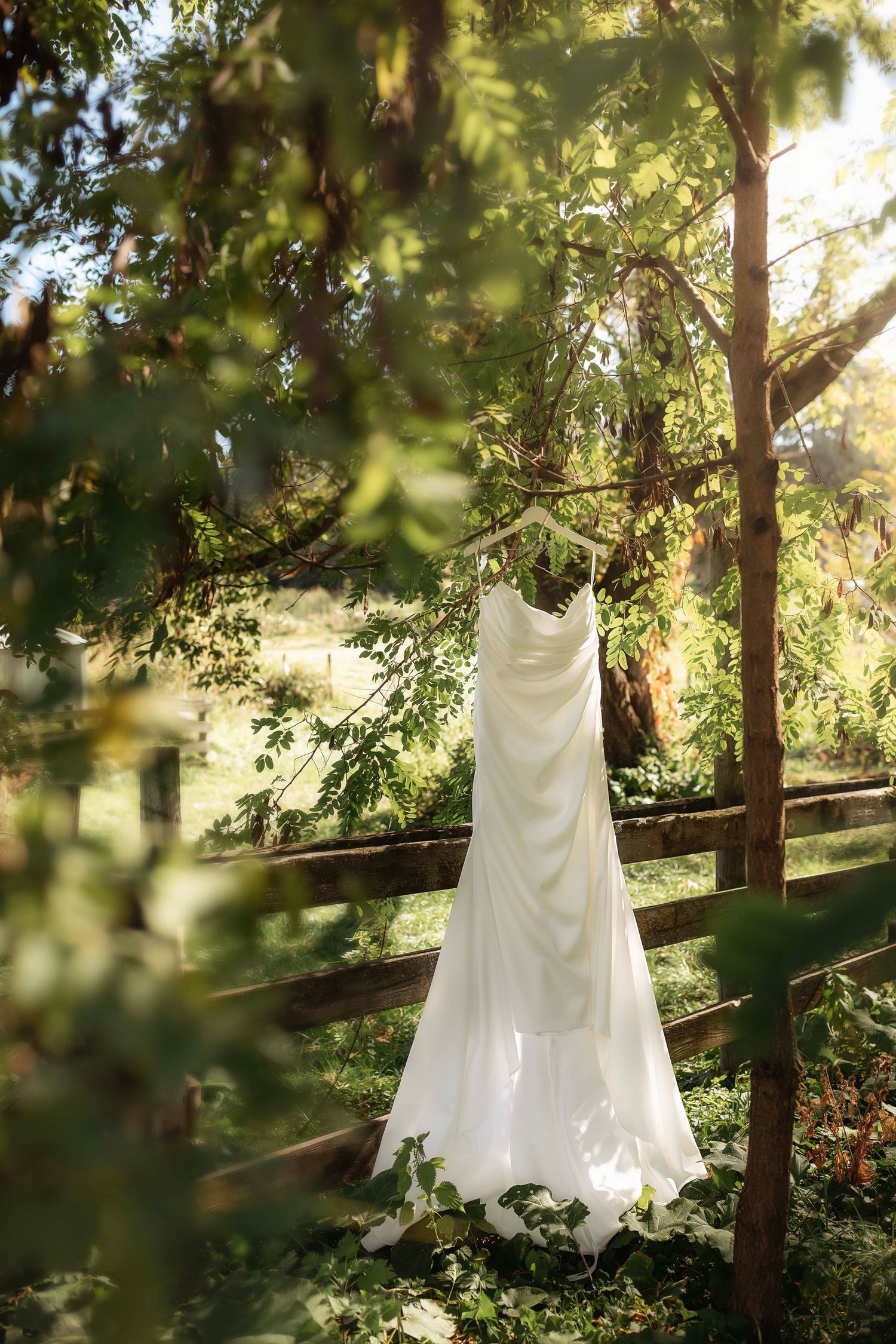 A white wedding dress hangs elegantly from a tree branch in a sun-dappled forest setting, creating a dreamy atmosphere.