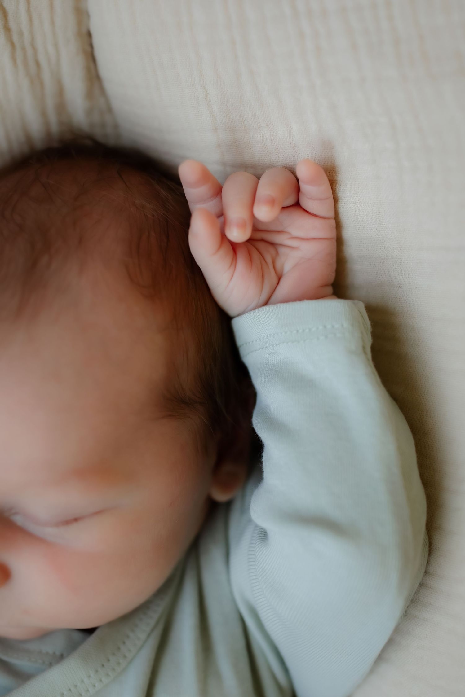 Carver, Minnesota in home newborn photography with Willow & Wren Photography.