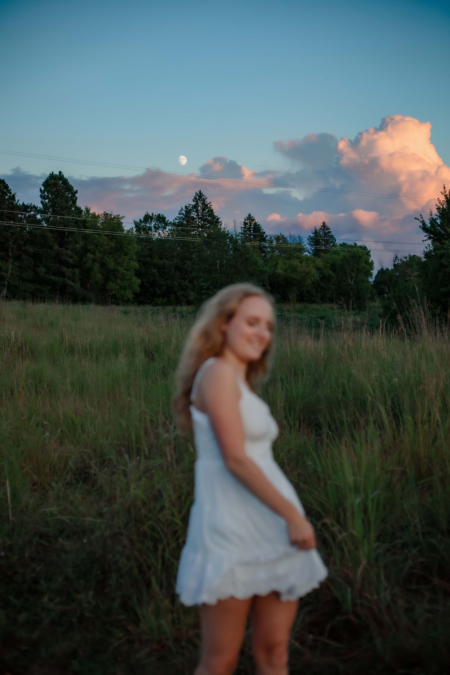 A dreamy sunset scene with pink clouds and moon visible above pine trees in a meadow setting.