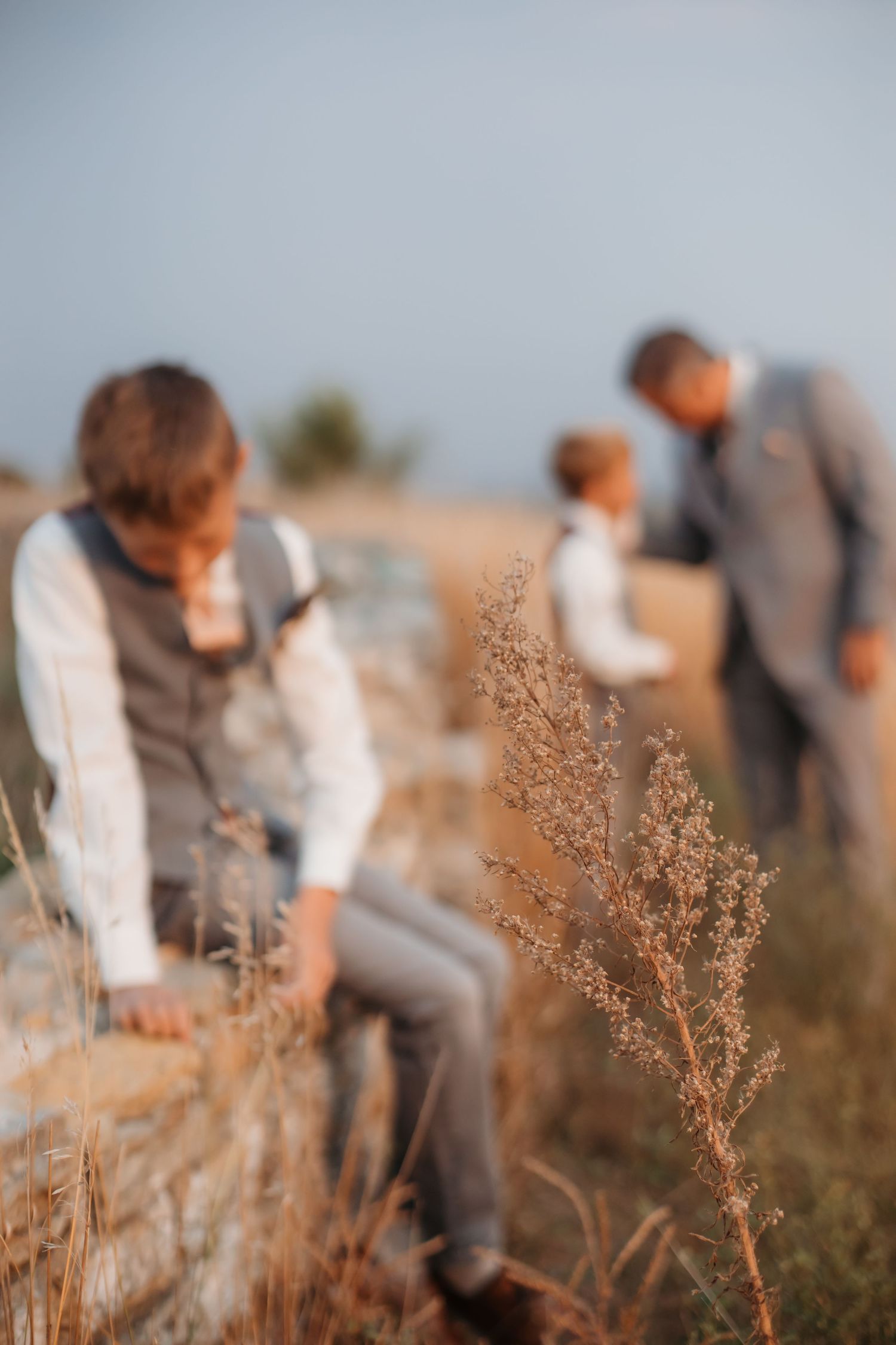 Artistic blurred portrait of wedding party members sitting in rustic field setting.