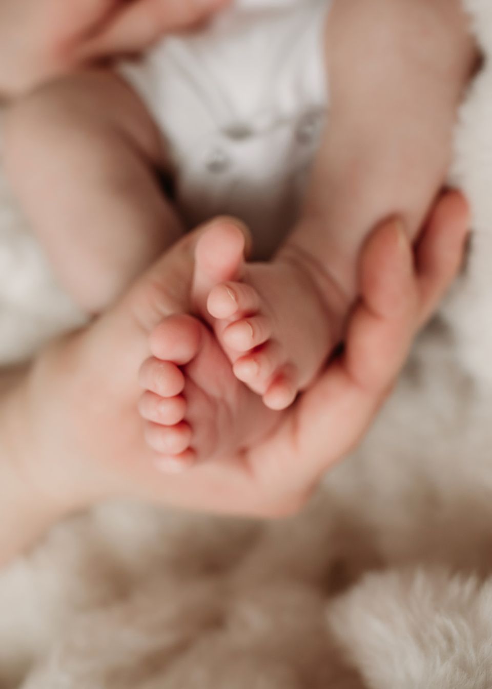 Delicate newborn baby feet resting in caring adult hands on white textured background.