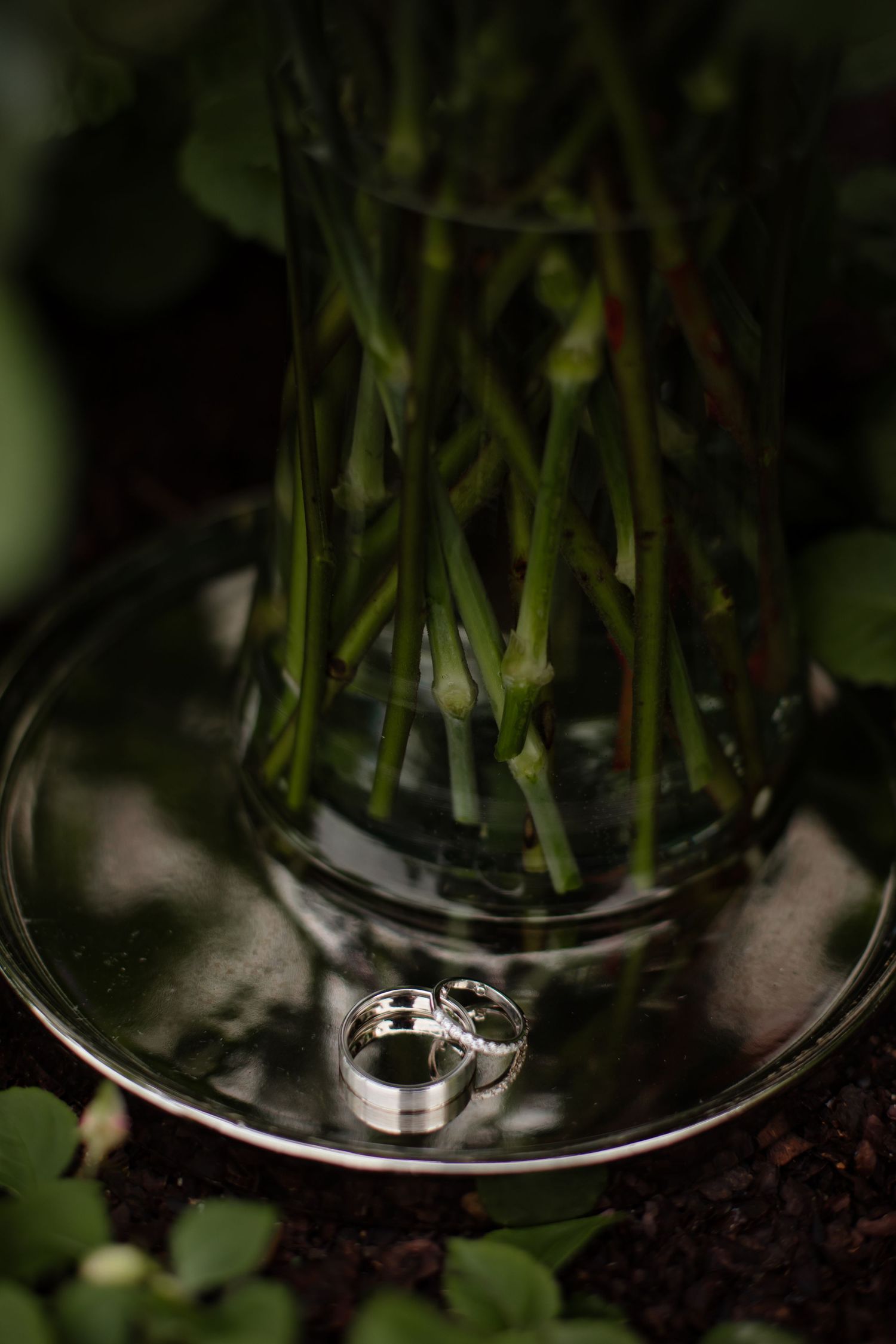 Wedding rings photographed artistically in dark lighting with grass and natural elements.