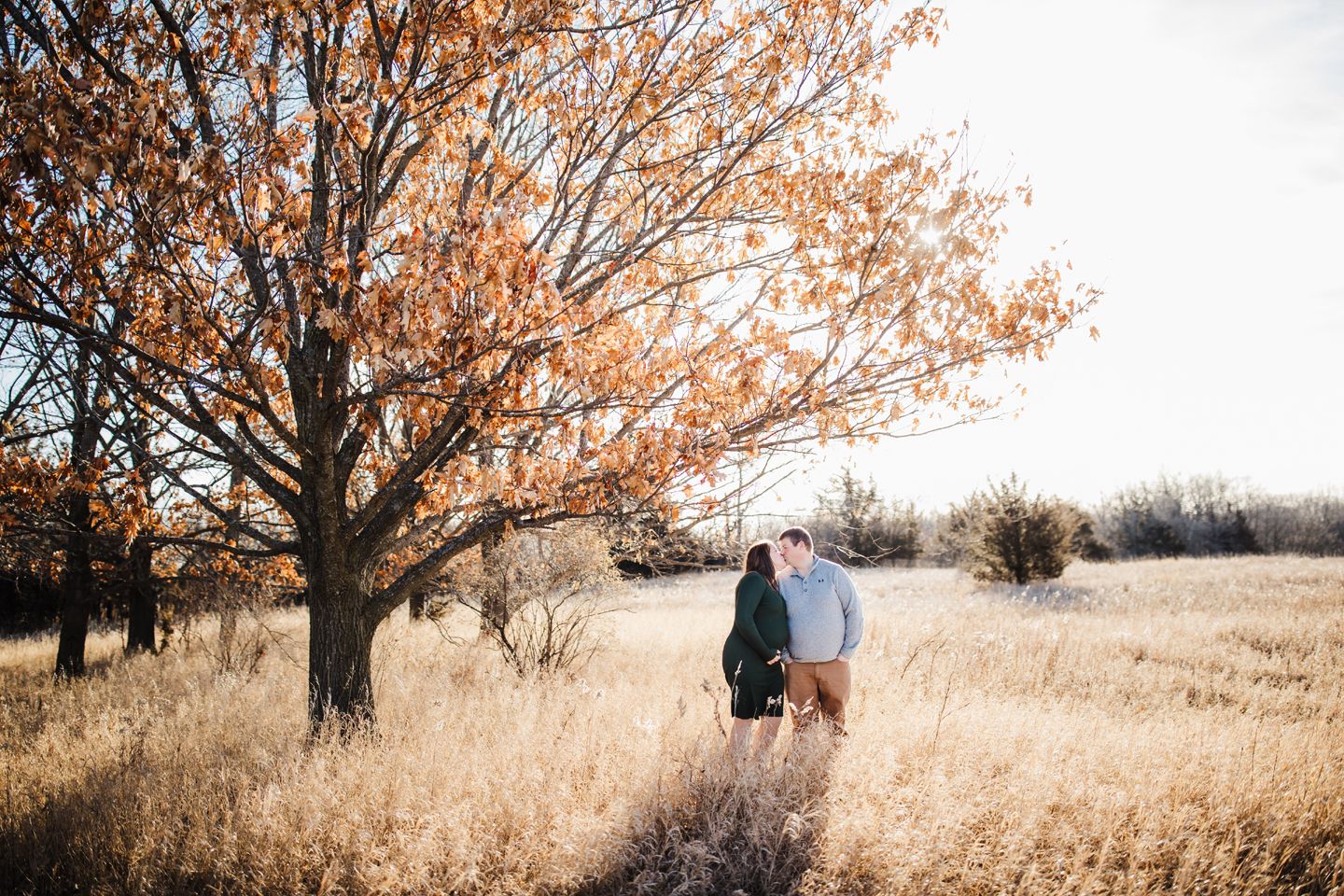 A couple embraces in a golden autumn field beneath a large tree with orange leaves at sunset.