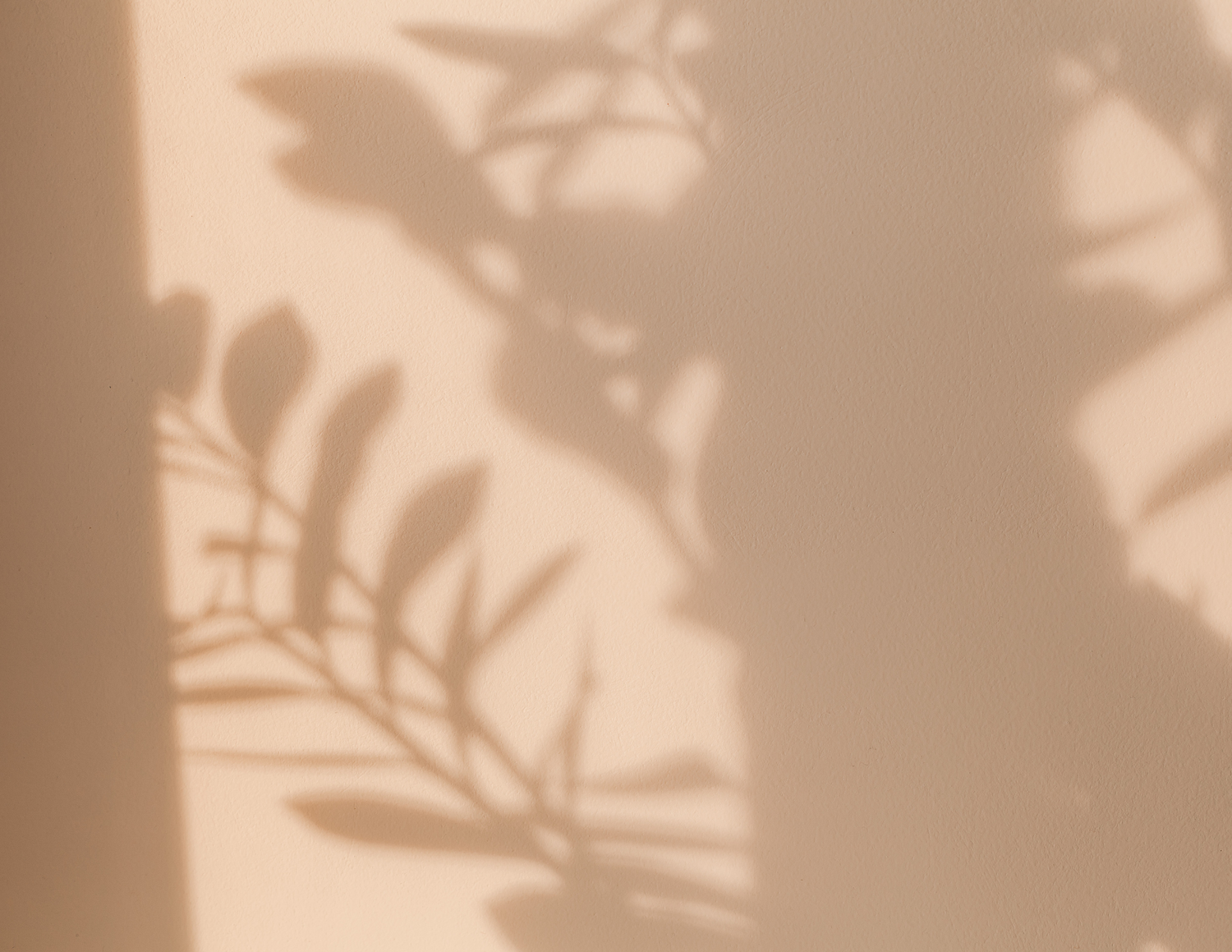 Soft shadows of palm leaves cast on a beige wall creating a minimal tropical aesthetic.