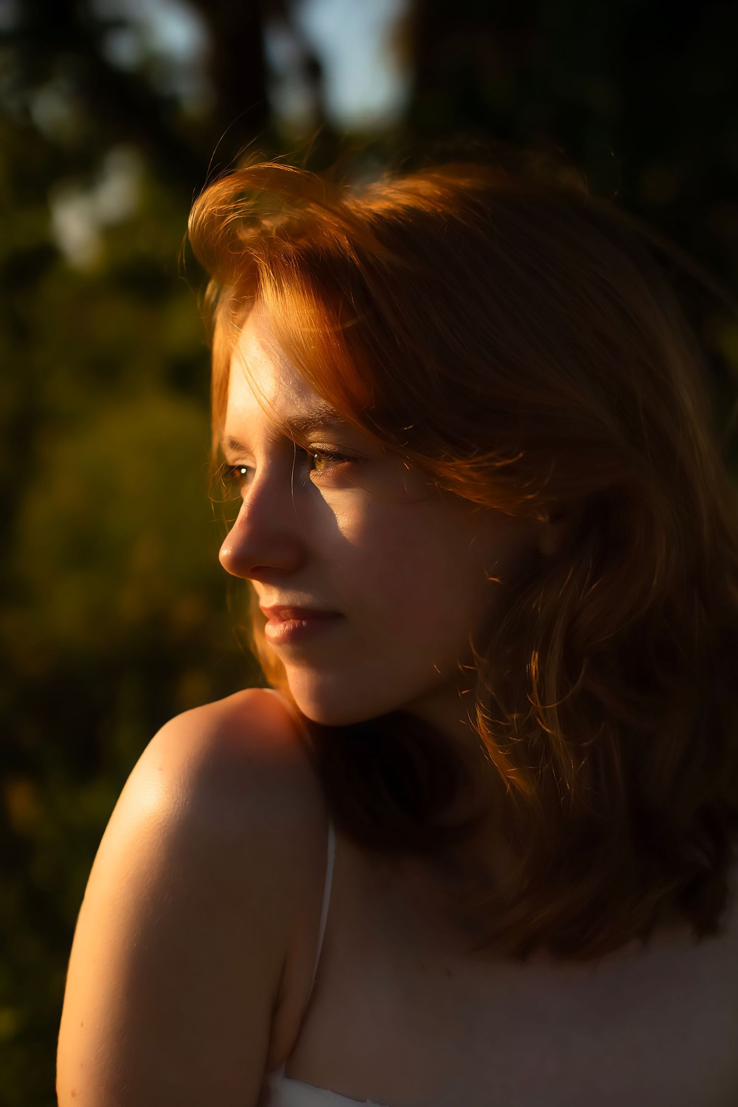Chanhassen Minnesota High School senior photography with Willow & Wren Photography. Sunset and gold hour senior photos.
