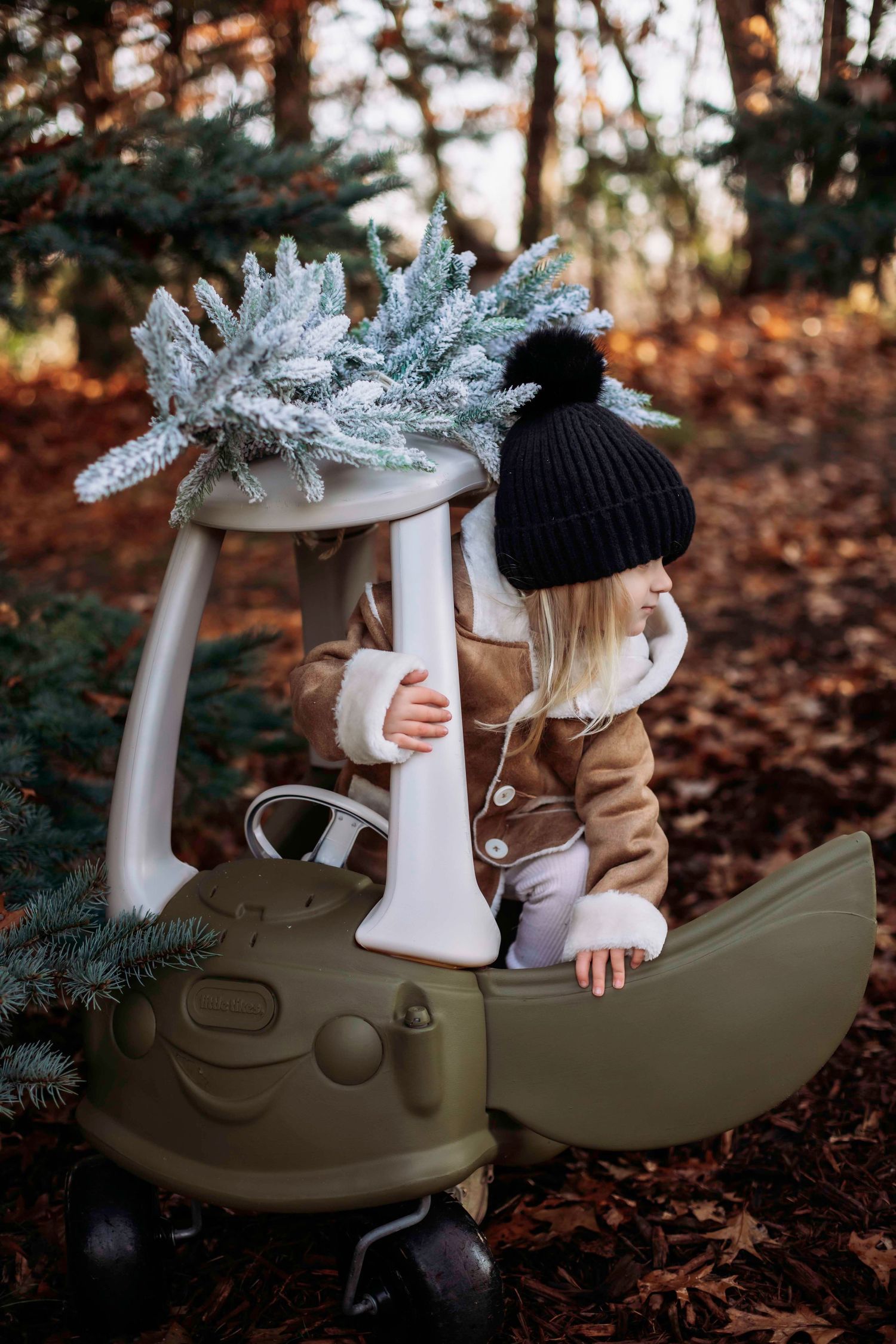 Winter scene with toy car and frosted pine branches in forest setting.