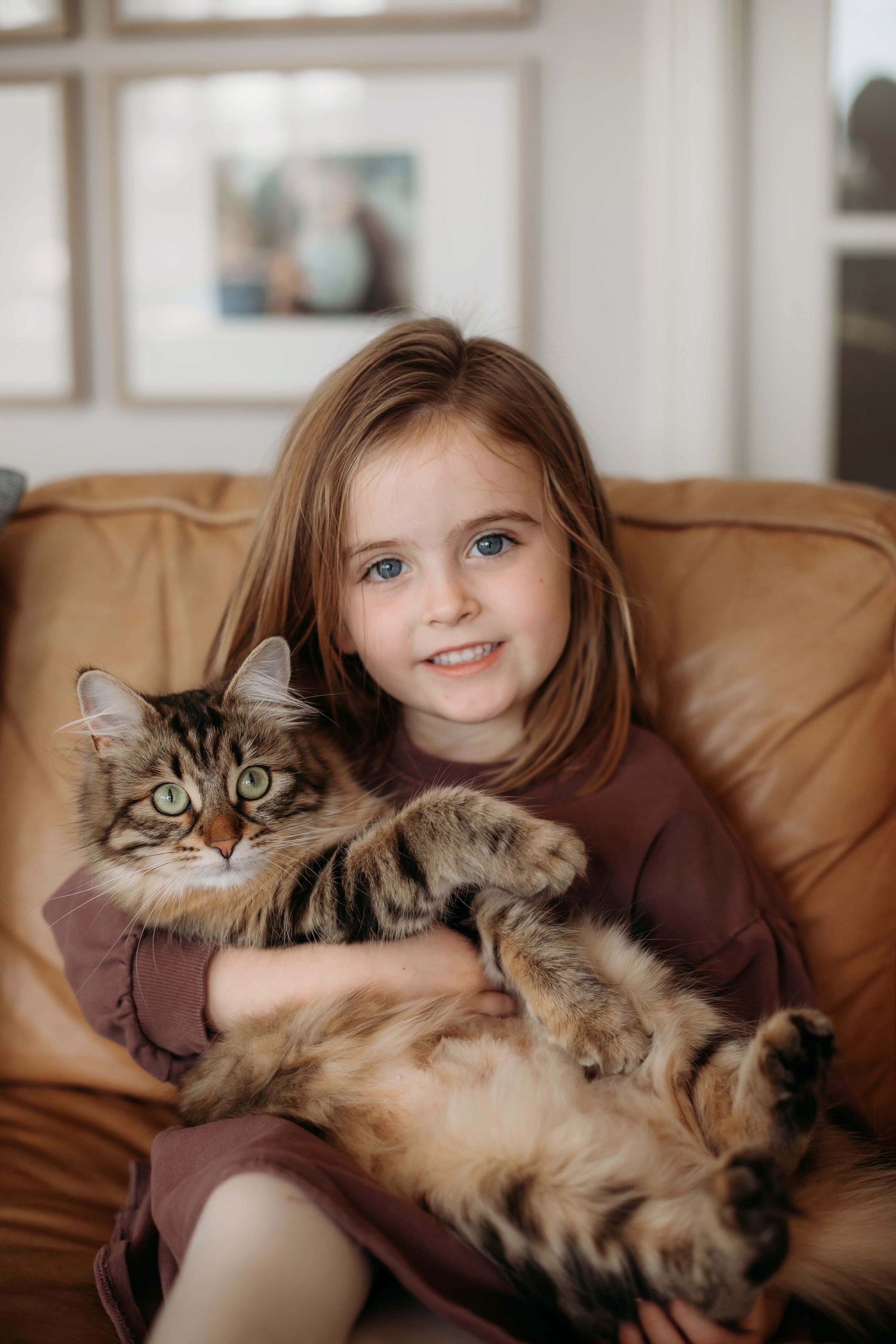Young child cuddling with a fluffy Maine Coon cat on a tan leather couch in a cozy home setting.