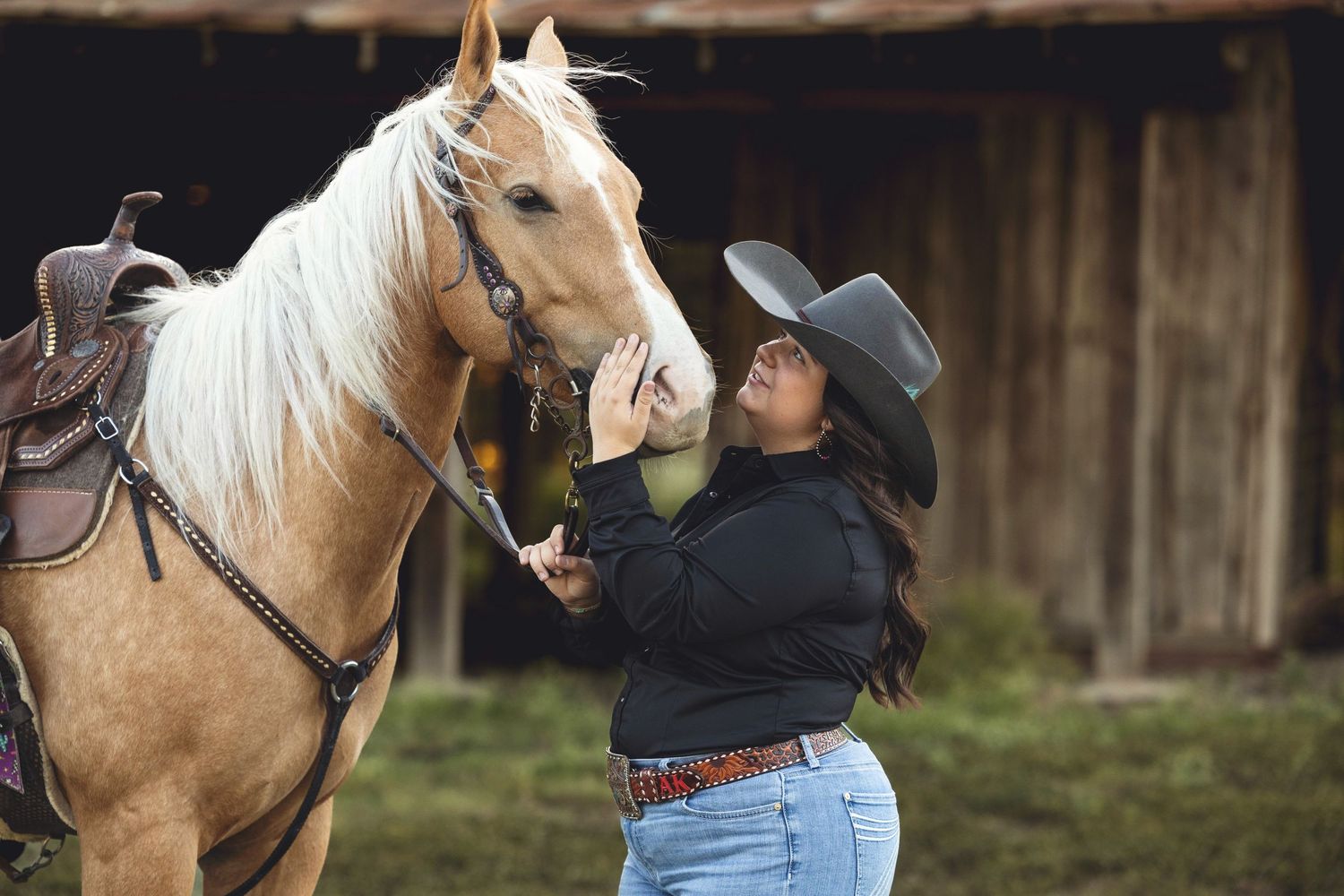 A palomino horse with flowing white mane is being petted while wearing western tack and saddle.