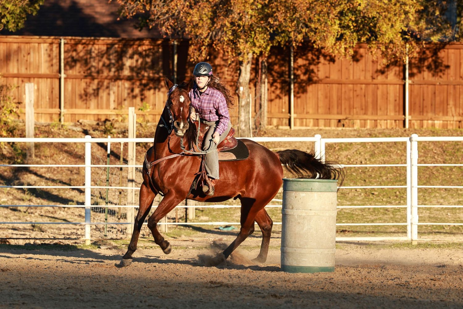 Brown horse circling a blue barrel in sandy arena during western riding practice.