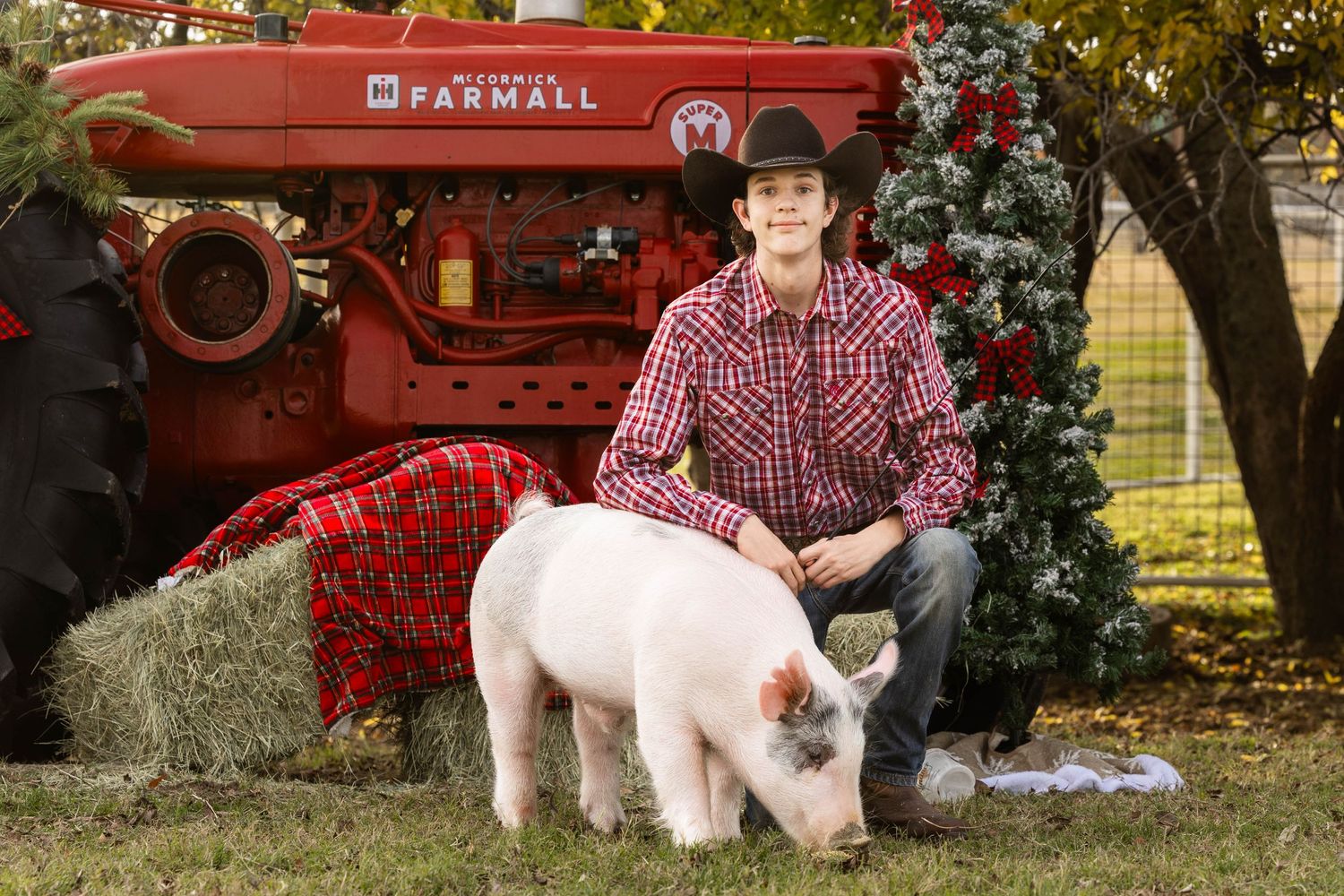 Pink pig and tractor holiday scene with decorative Christmas elements and hay bales.