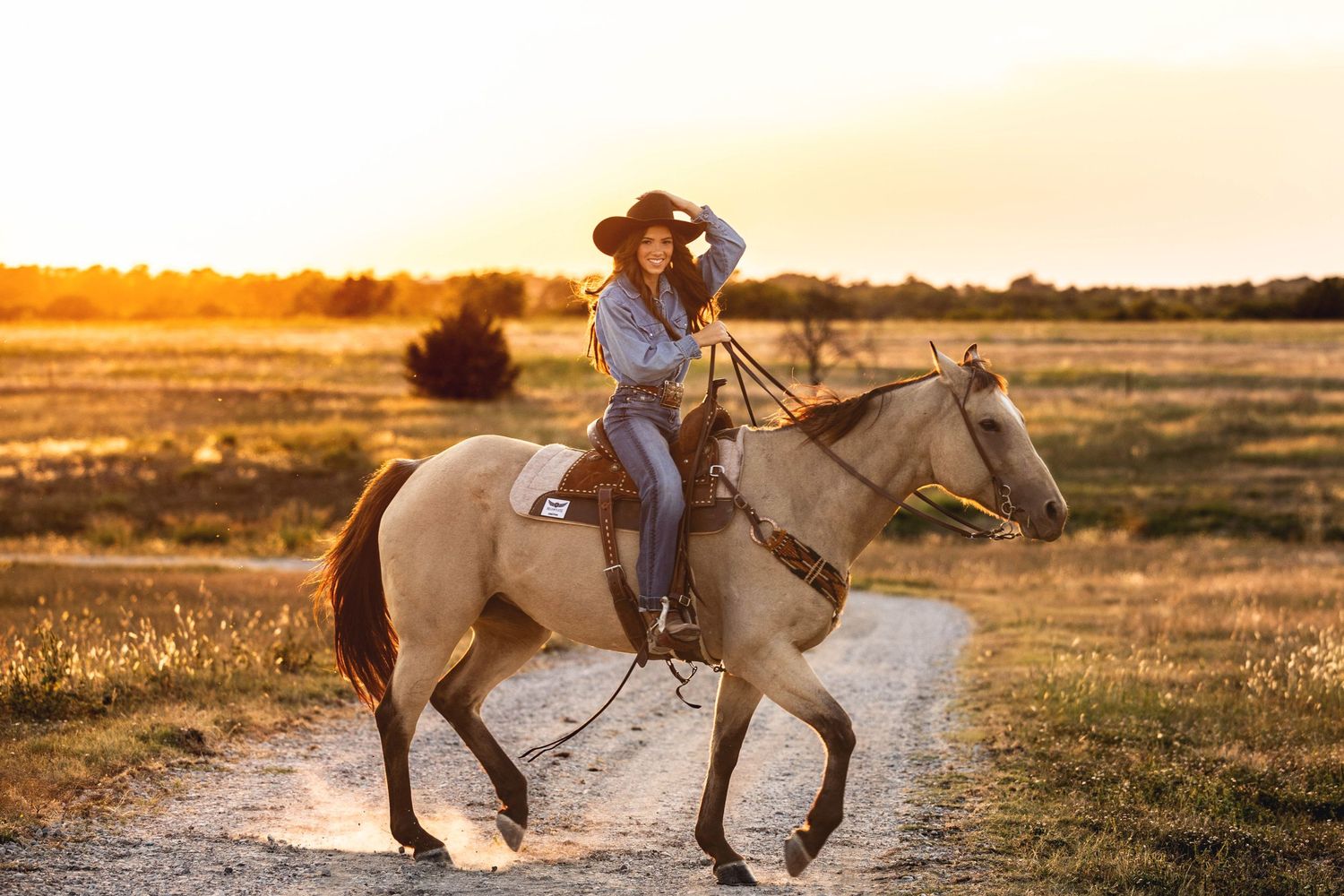 Horseback rider canters across a golden field at sunset on a light-colored horse.