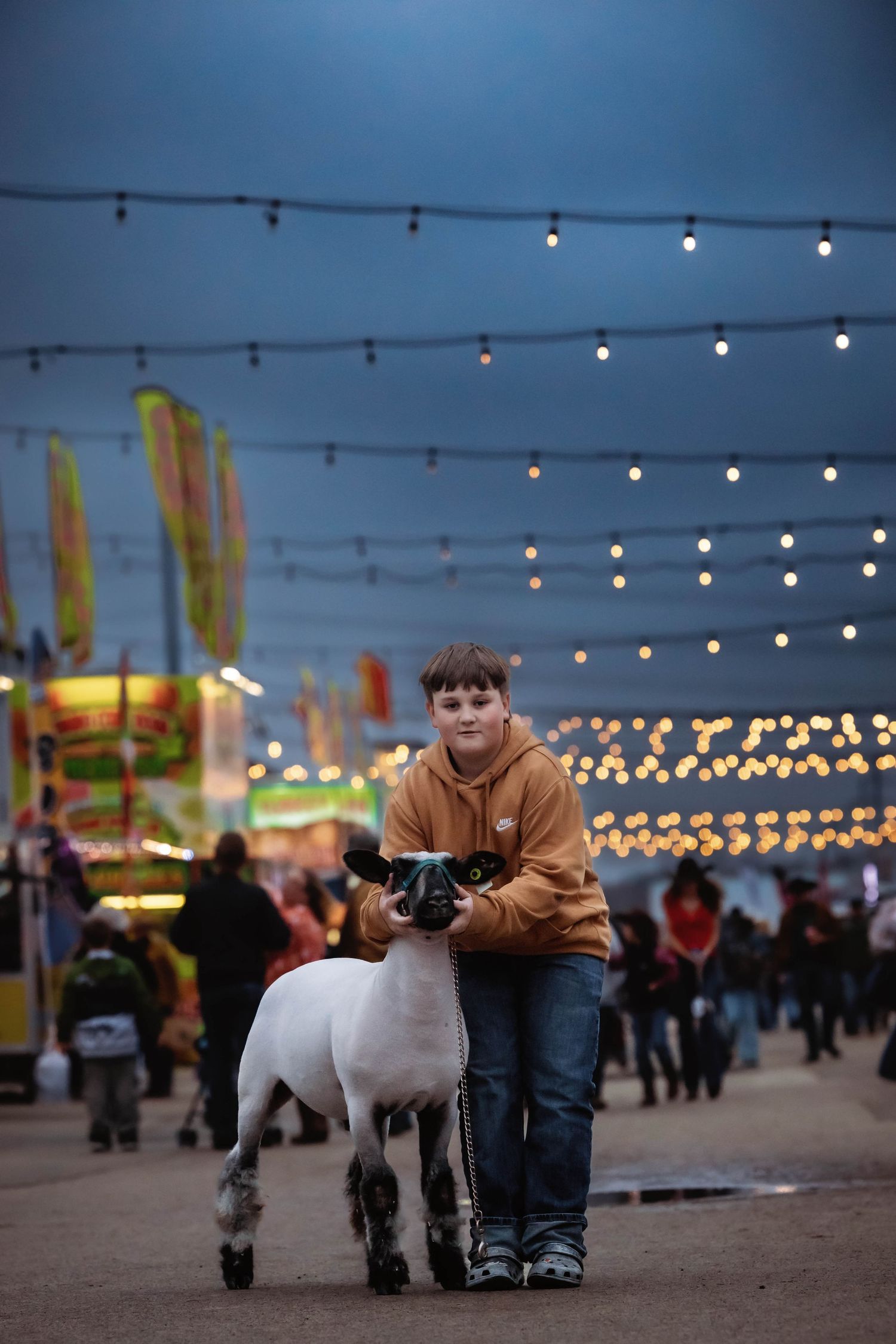 Youth showing sheep at county fair with carnival lights in background.