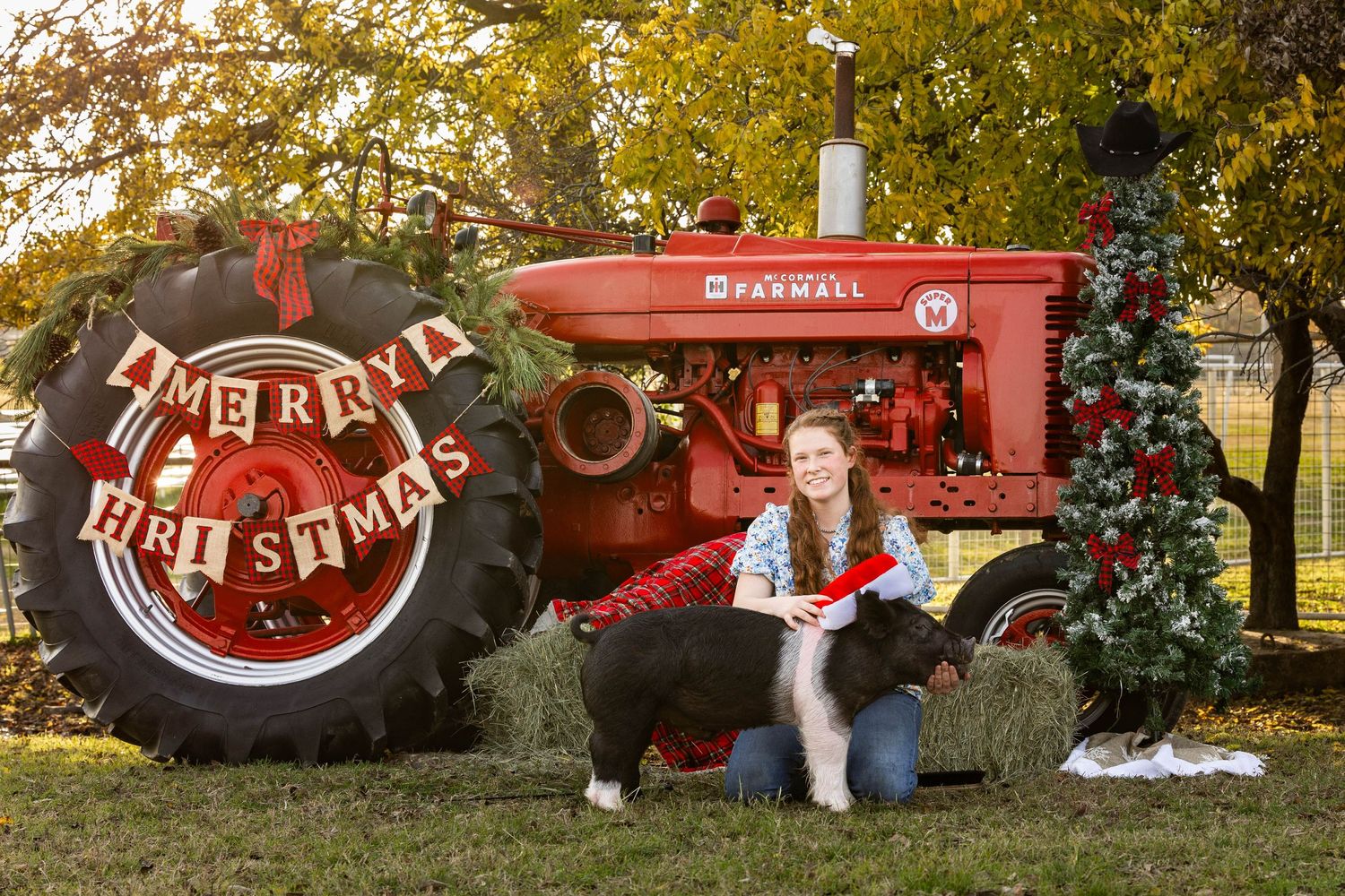 Festive farm scene with red tractor, Christmas decorations, and hay bales.