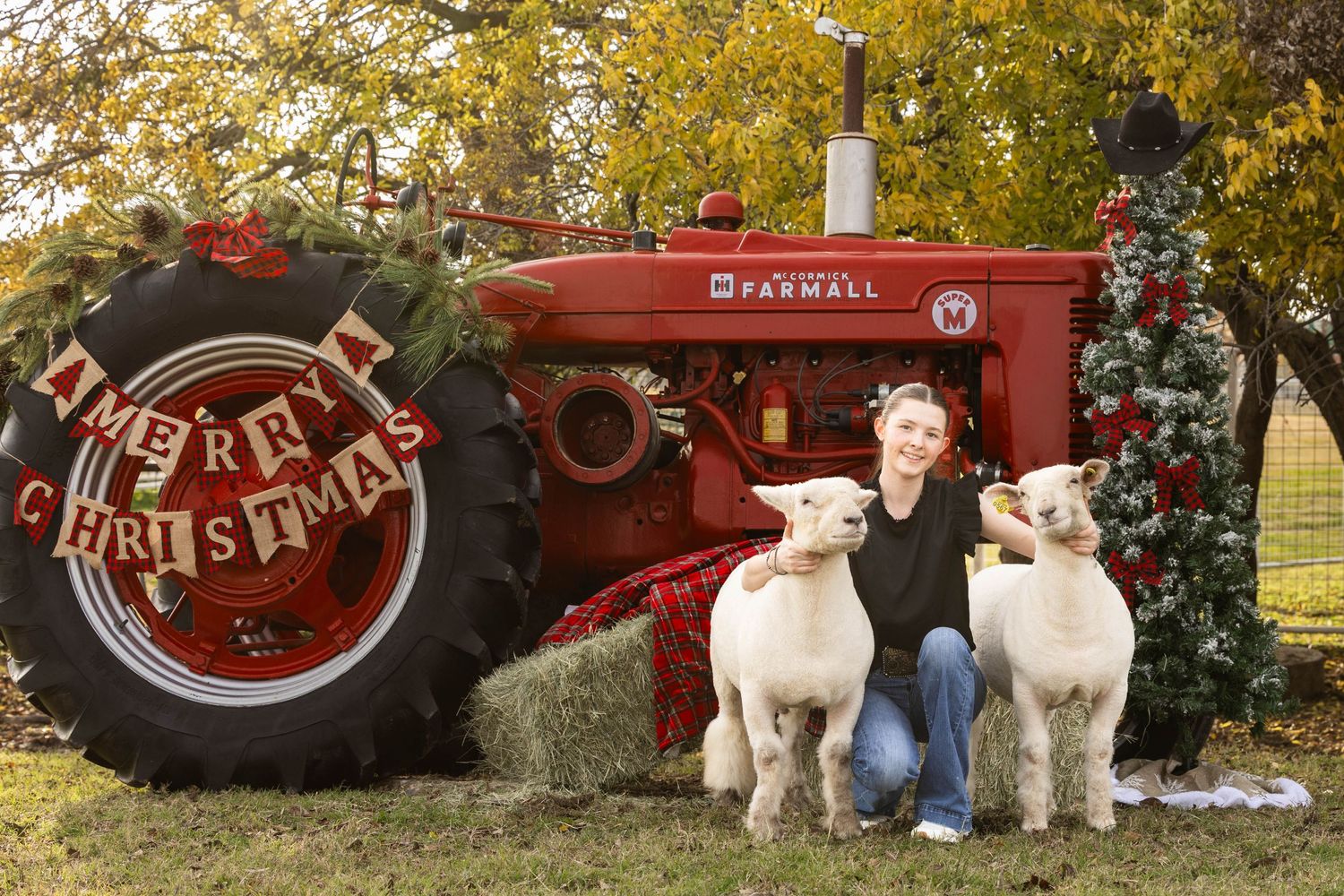 Holiday-decorated vintage red Farmall tractor with sheep and Christmas ornaments in a rustic outdoor setting.