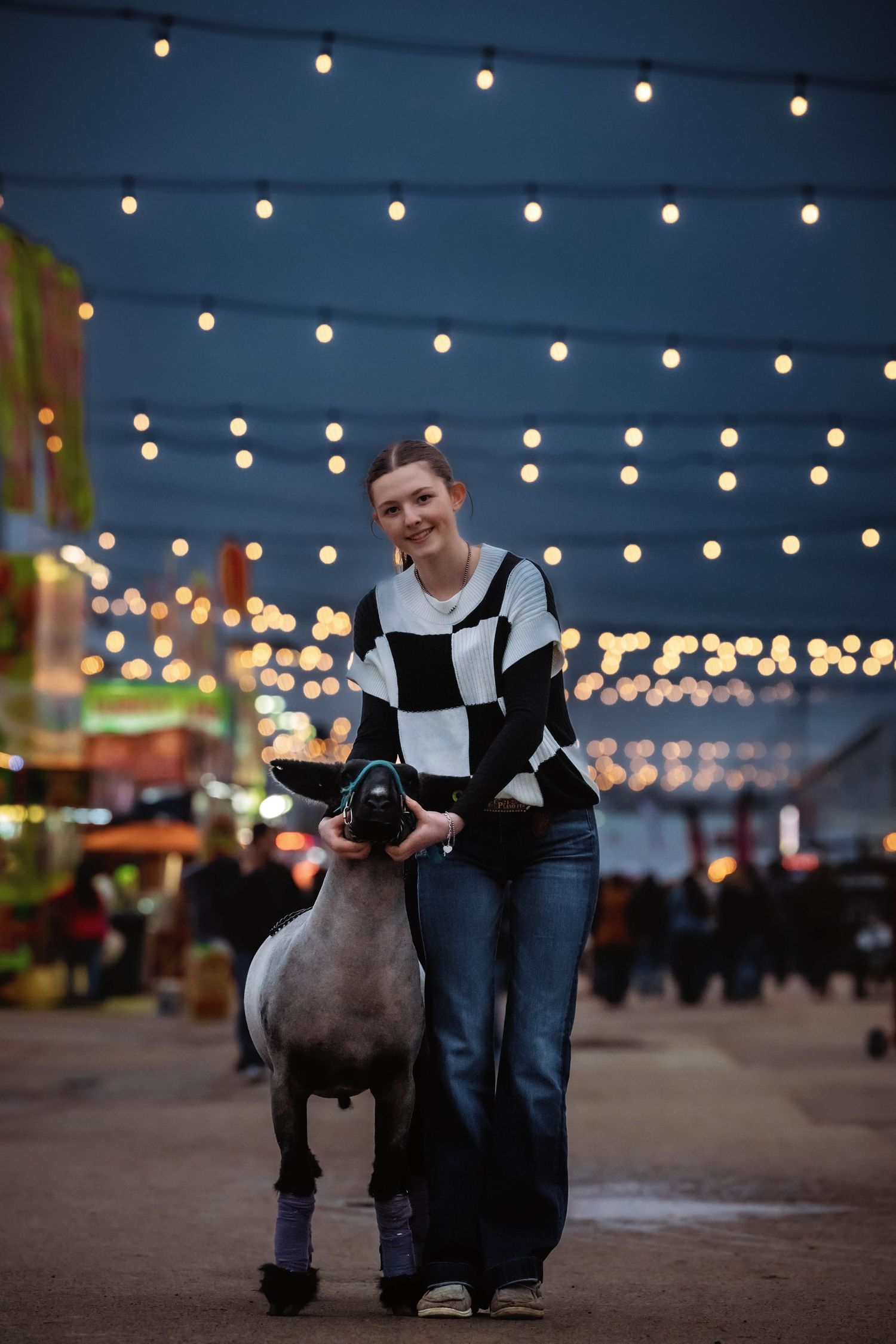 Show animal on display under festive string lights at a nighttime event.