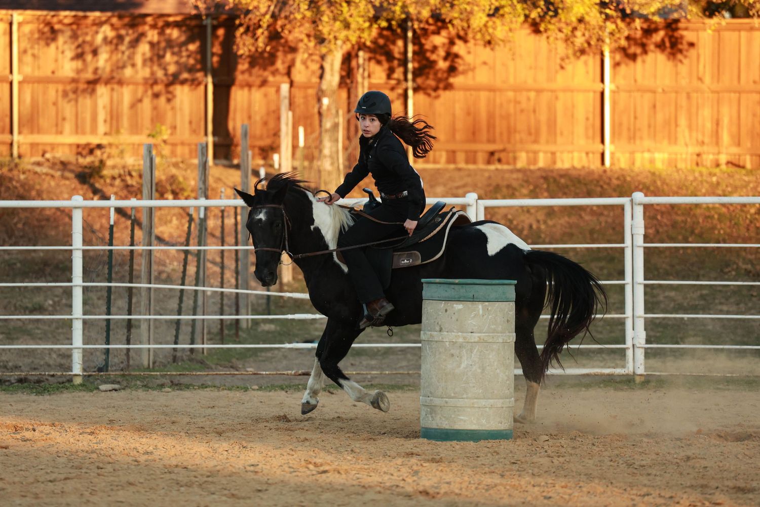 Black and white paint horse rounding a barrel in evening light at western riding arena.