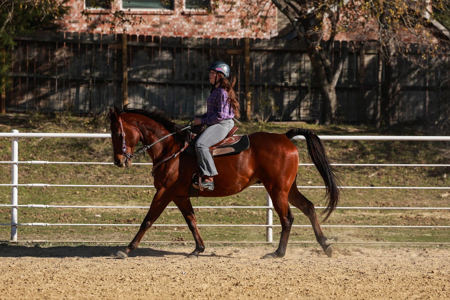 Rider practices dressage on a chestnut horse in a fenced arena.