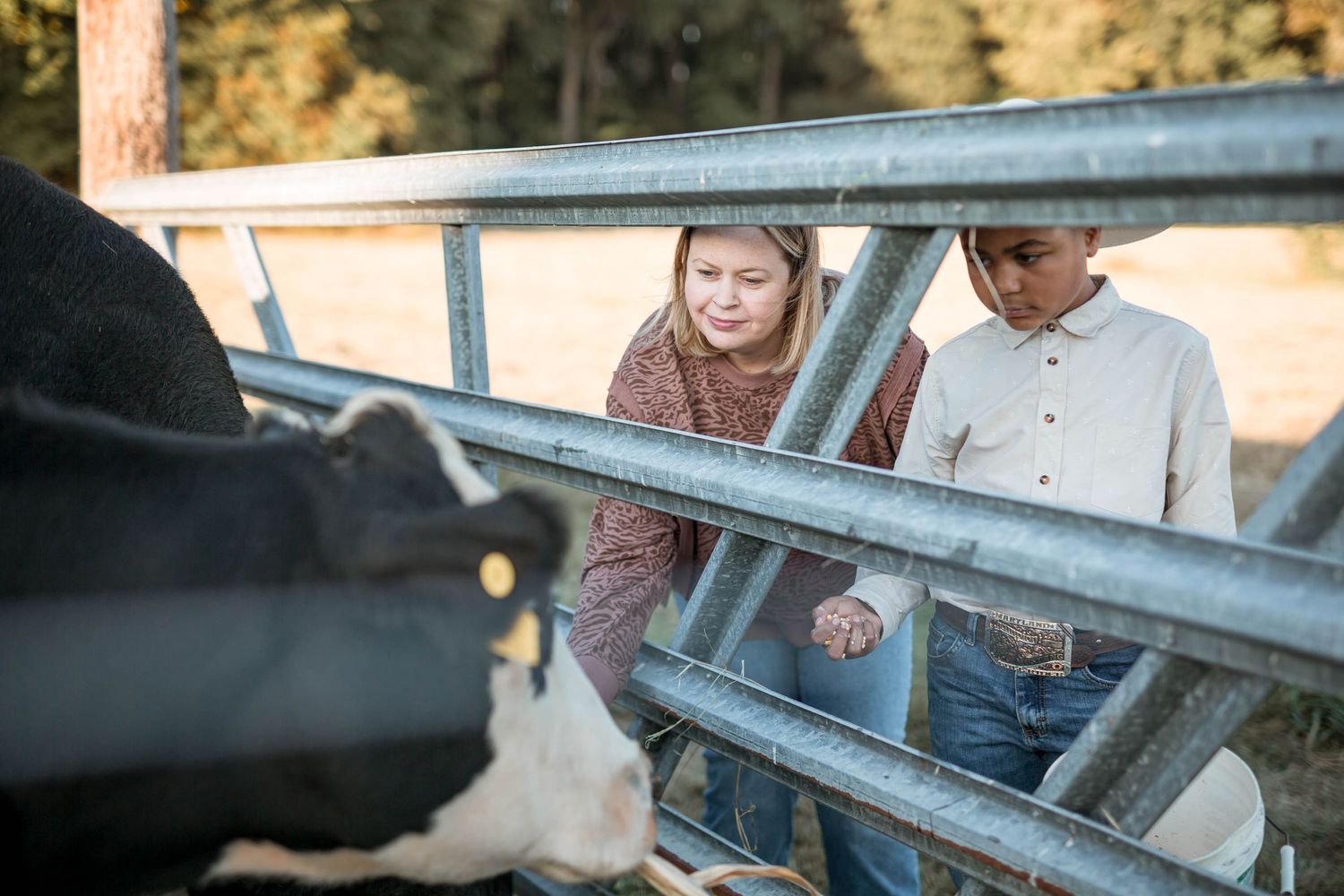 feeding the cows on the farm otter creek acres photography by ashley chance