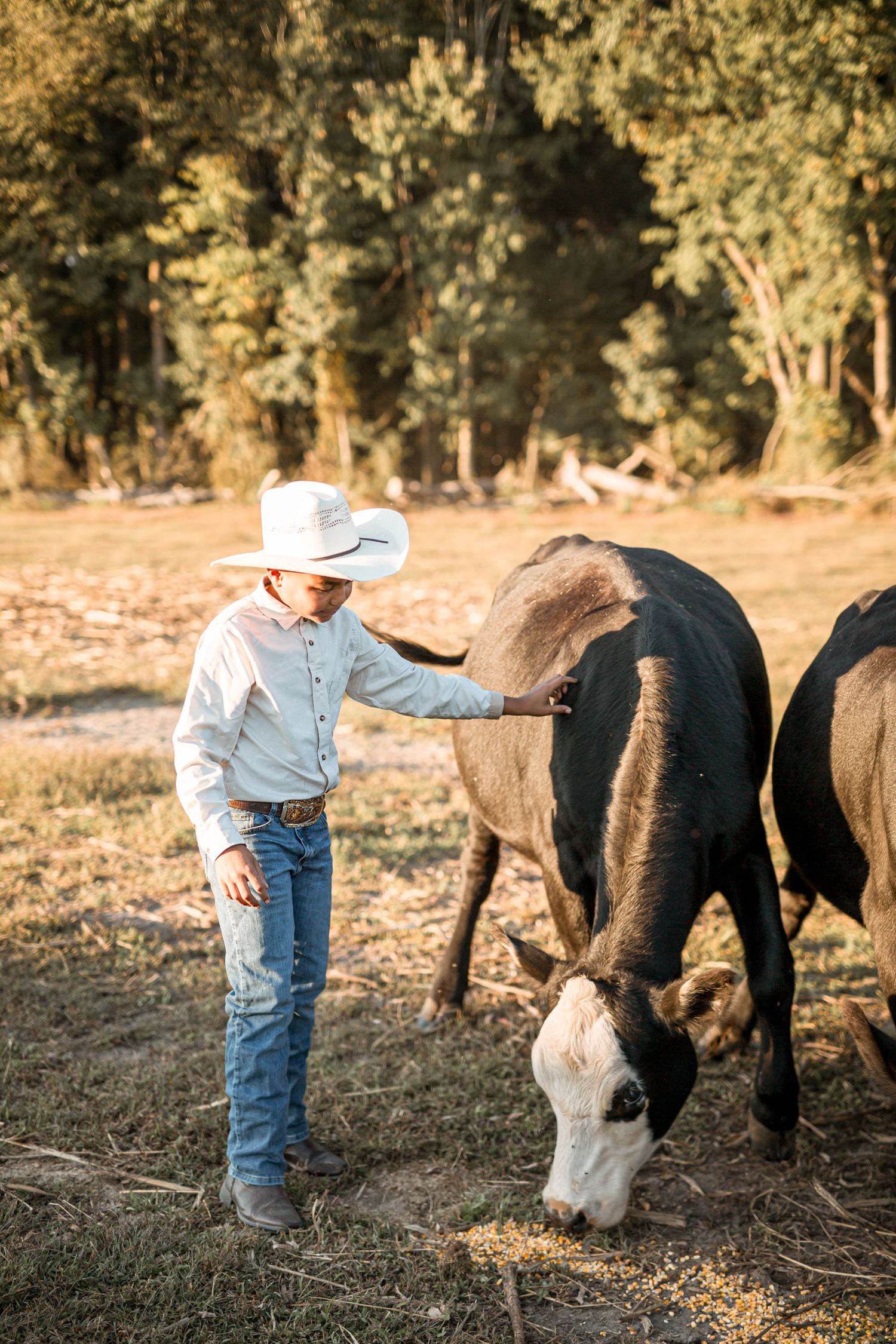 feeding the cows on the farm otter creek acres photography by ashley chance
