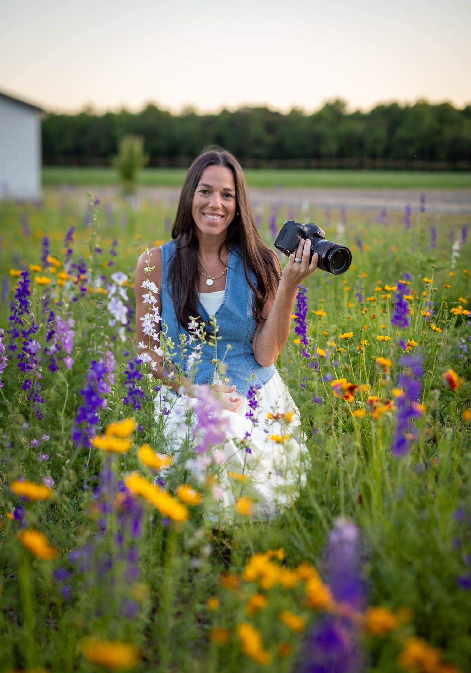 photography by ashley chance corgi sussex county delmar delaware wildflower meadow