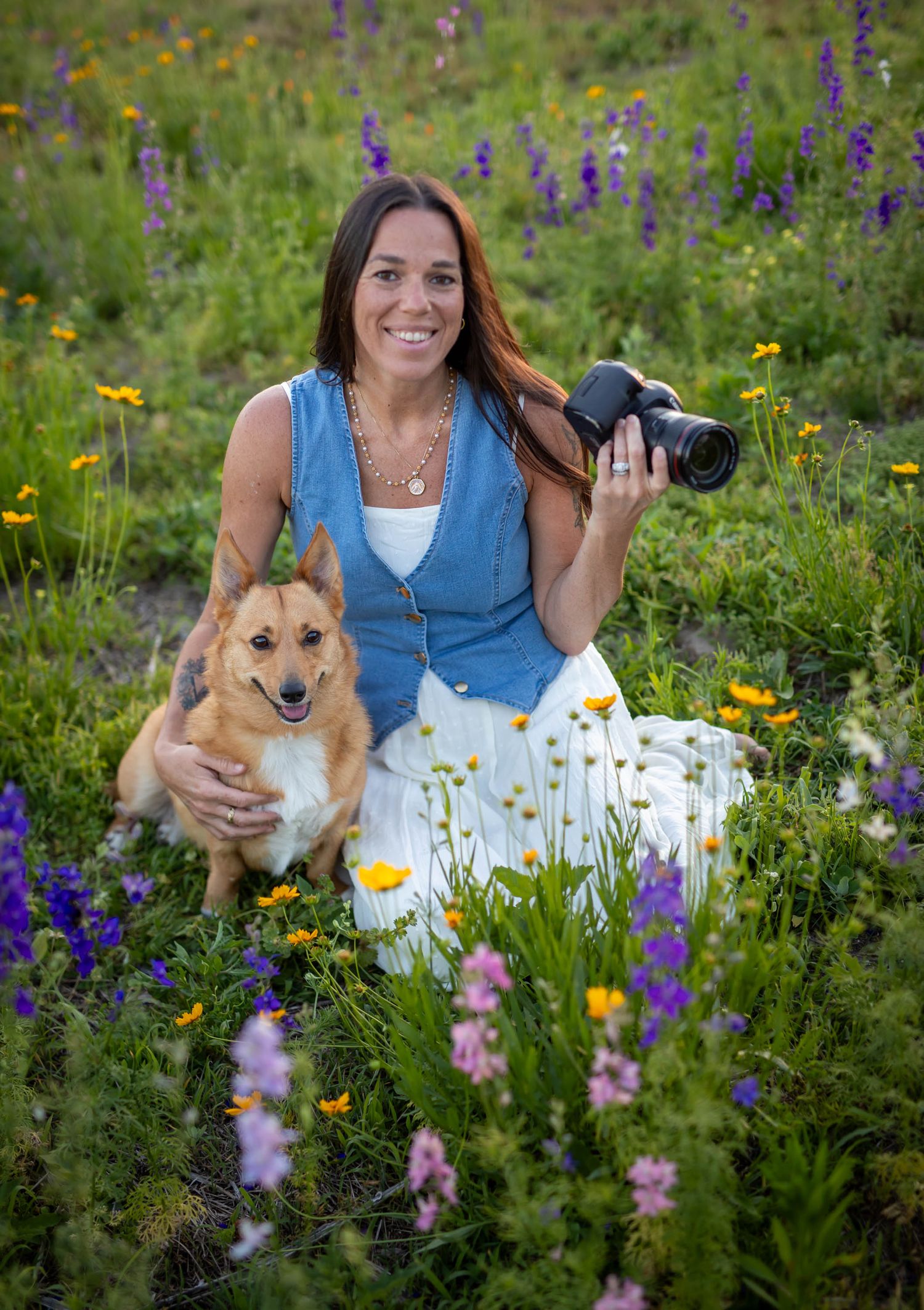 photography by ashley chance corgi sussex county delmar delaware