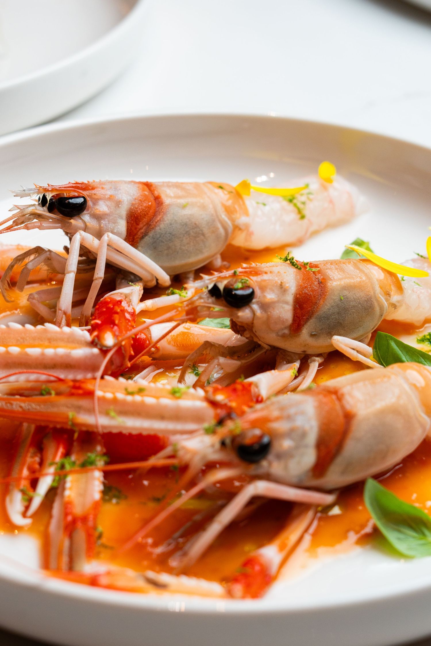 Food photo (close up) for Belcanto
