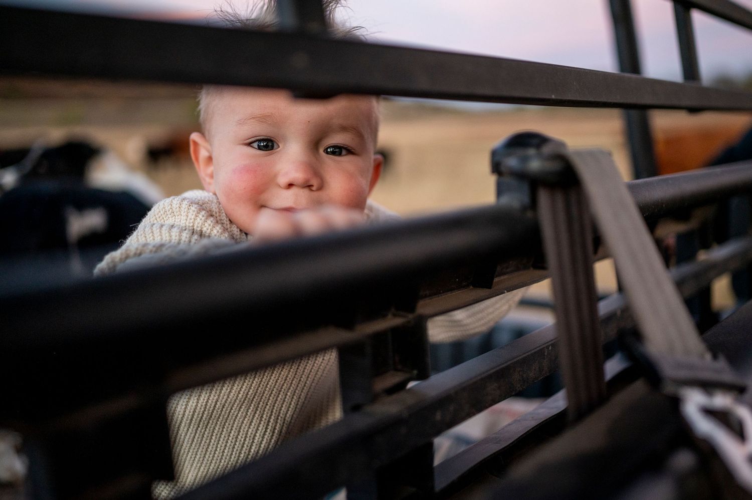 Smiling baby in a cream outfit peeking through the metal bars of a farm vehicle at sunset.