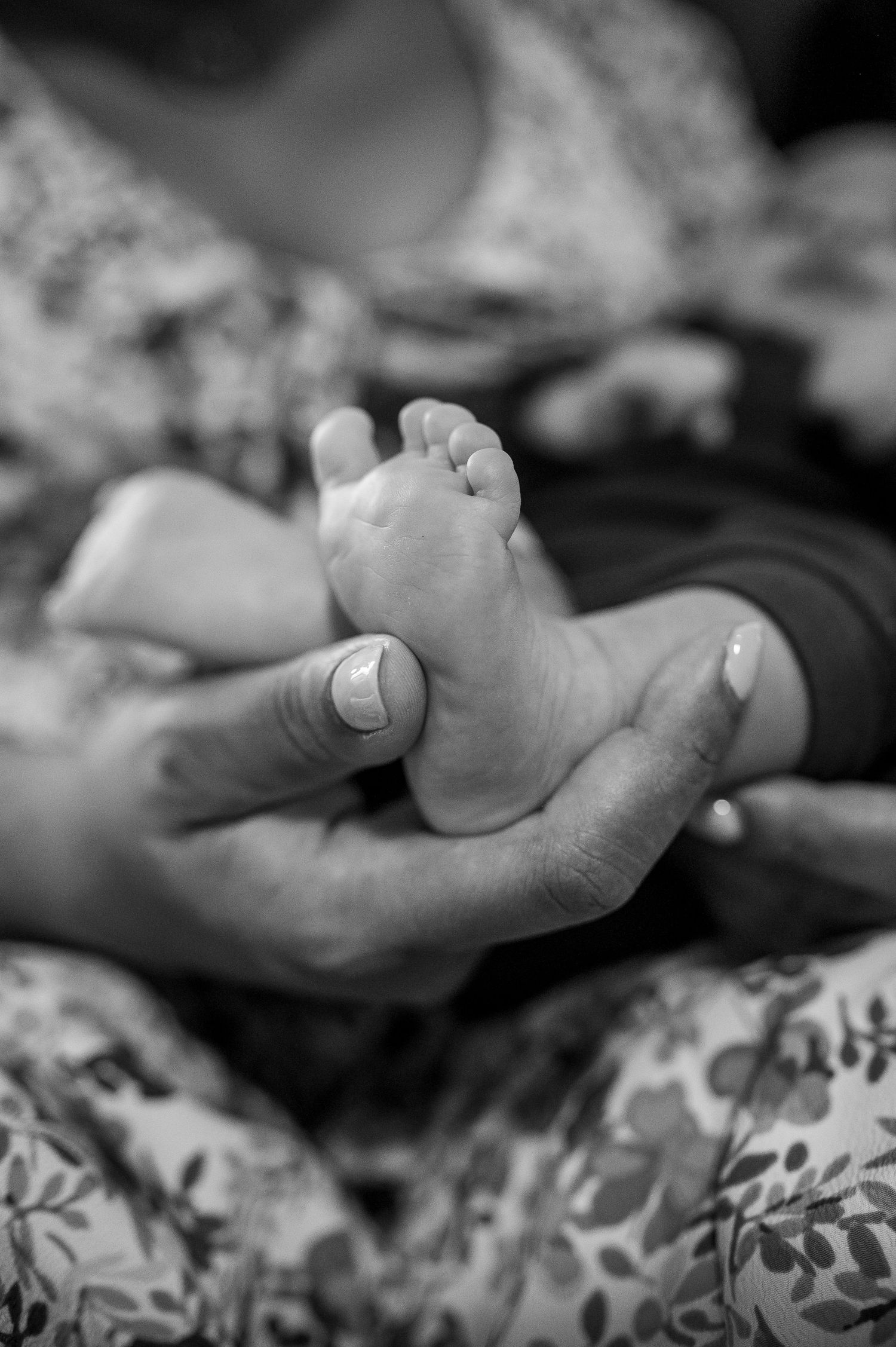Black and white photo of adult hands gently cradling a newborn baby's tiny feet.