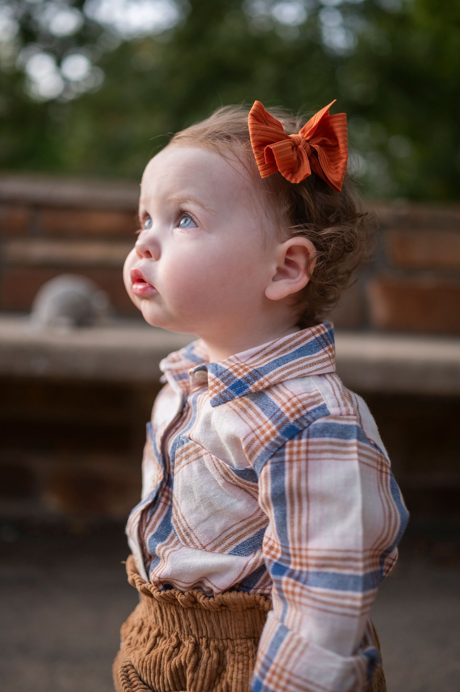 Small child in plaid shirt and orange bow looking up with wonder.
