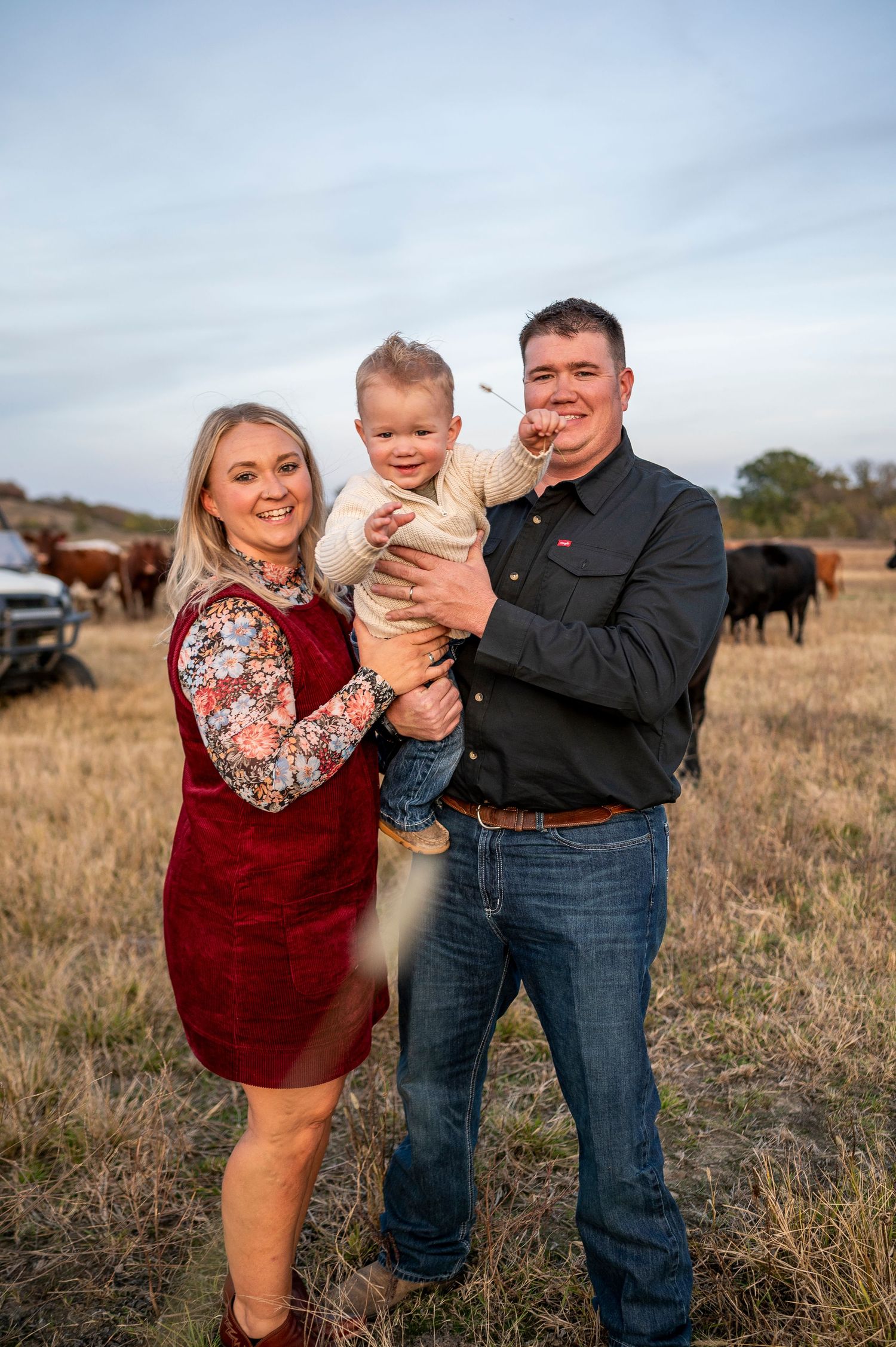 A smiling family of three poses in a pasture with cattle, man holding toddler, woman in red dress.