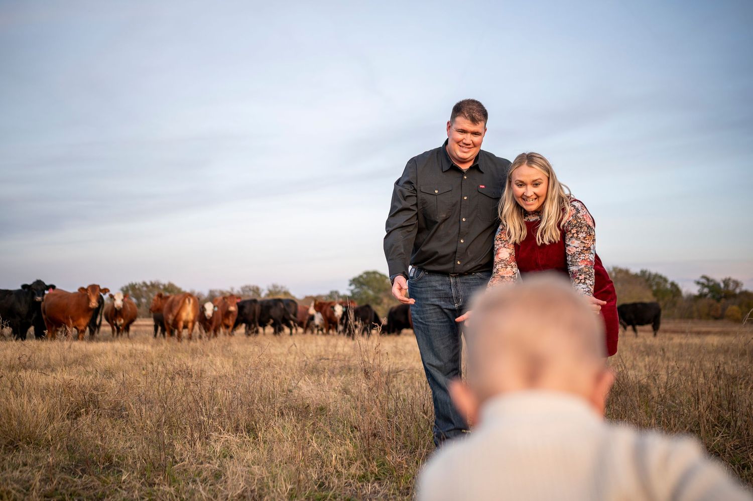 Couple smiling in a field with cattle grazing behind them during golden hour on a farm.