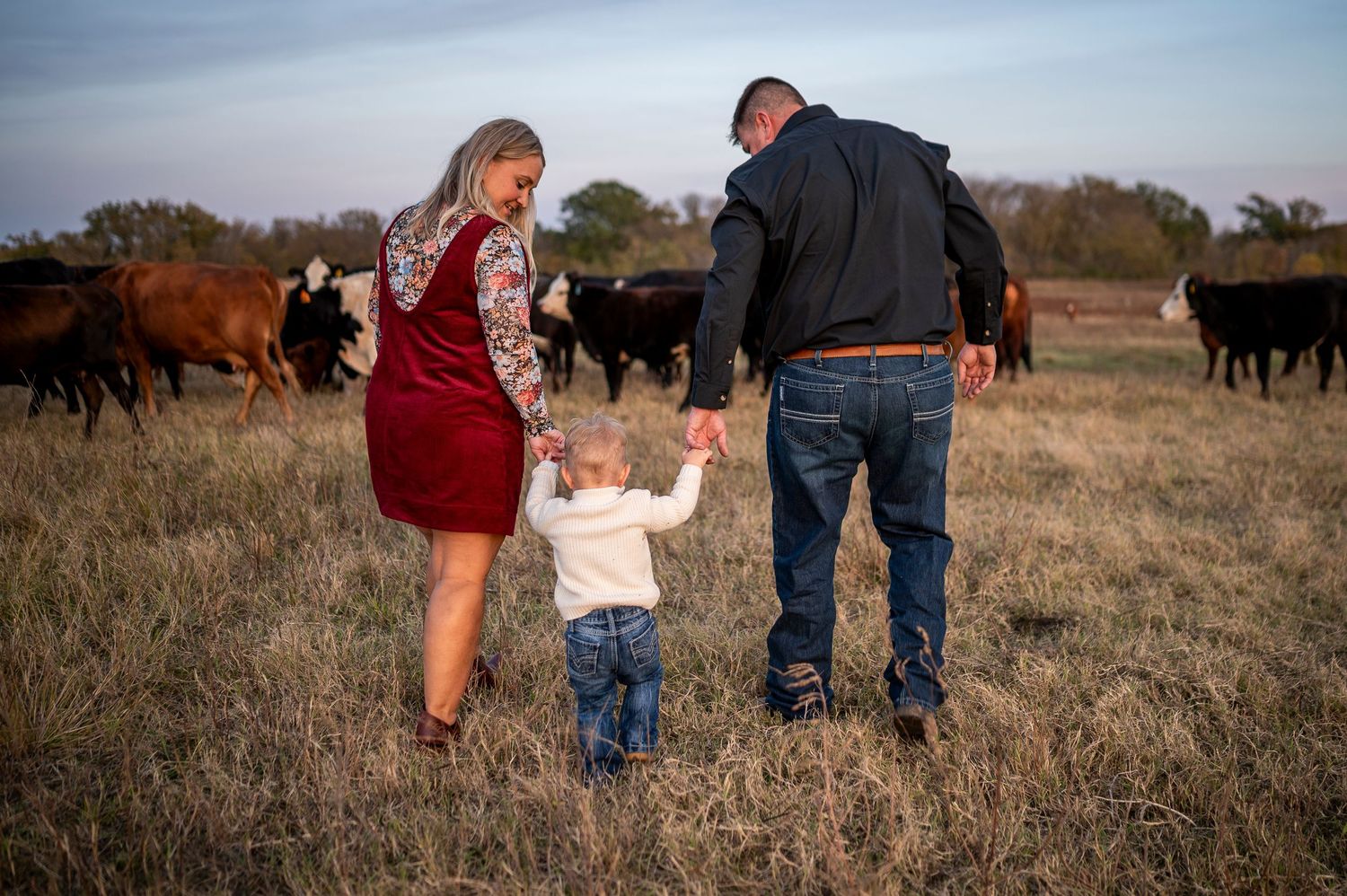 A family of three holds hands while walking through a pasture with cattle grazing behind them.