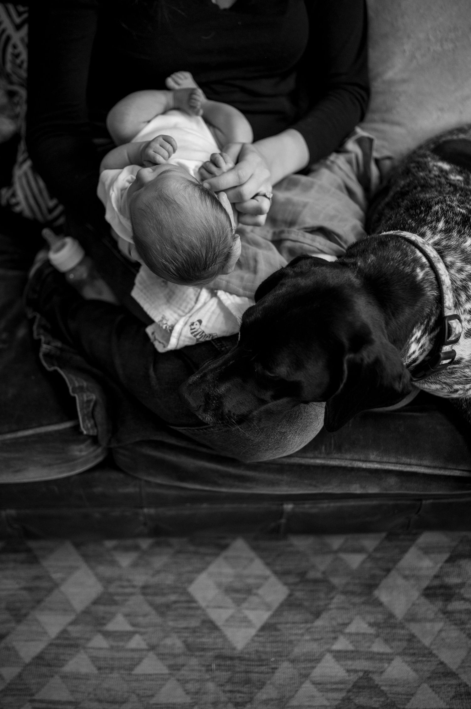 A black and white image of a sleeping infant cuddled up with a dog on a couch.